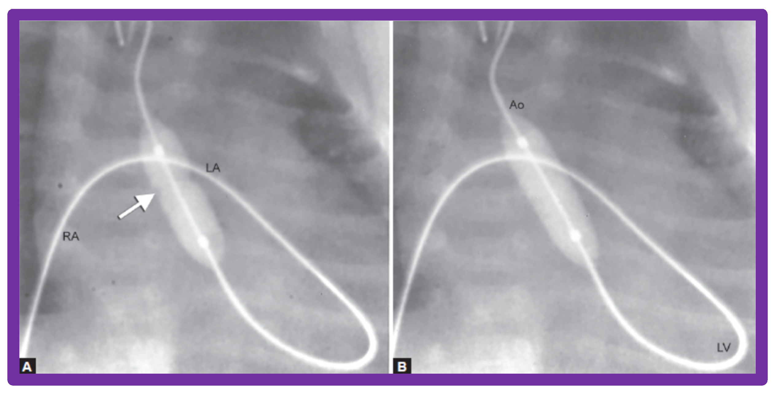 Jcdd 10 00288 g028 Jcdd 10 00288 g028