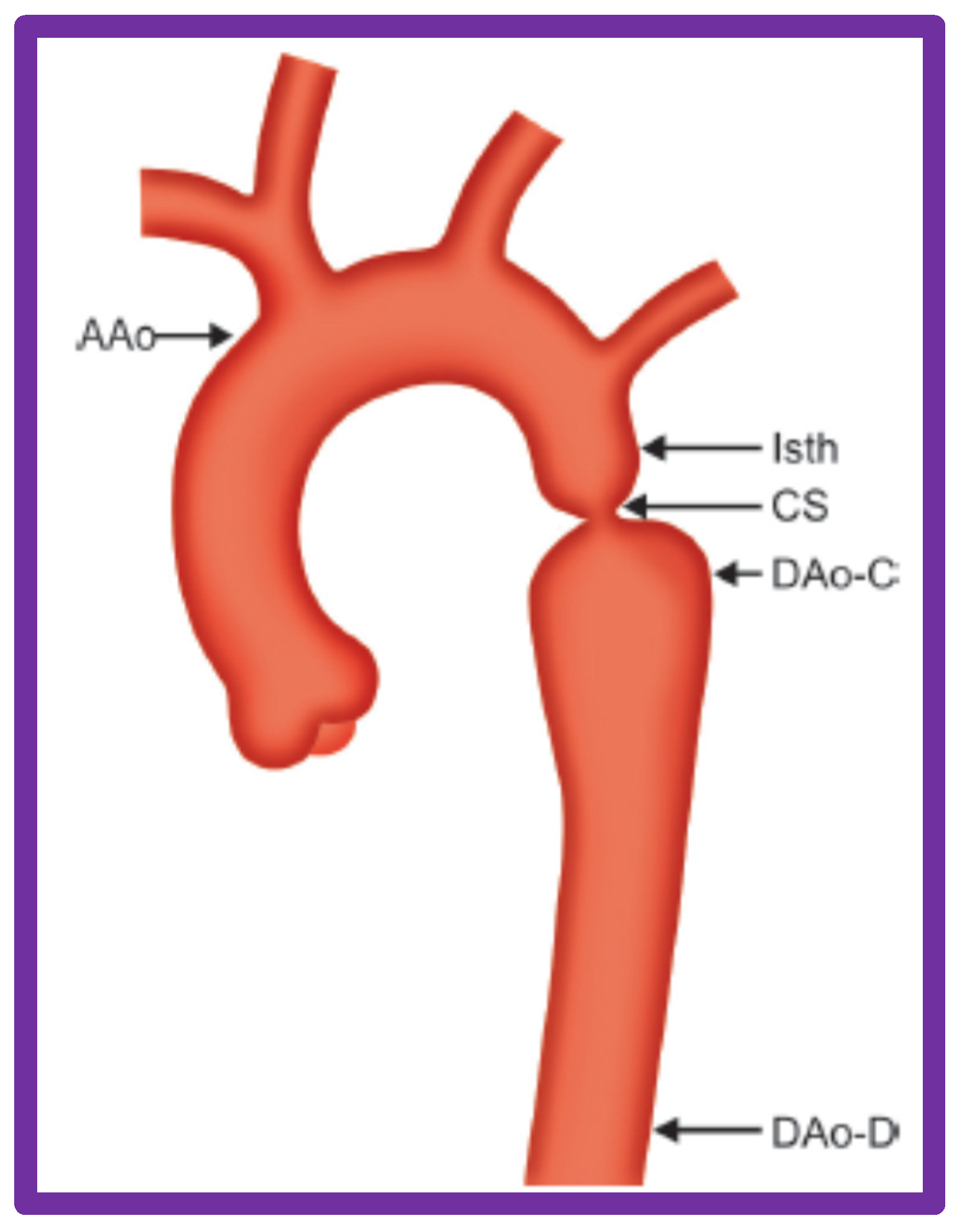 Jcdd 10 00288 g032 Jcdd 10 00288 g032