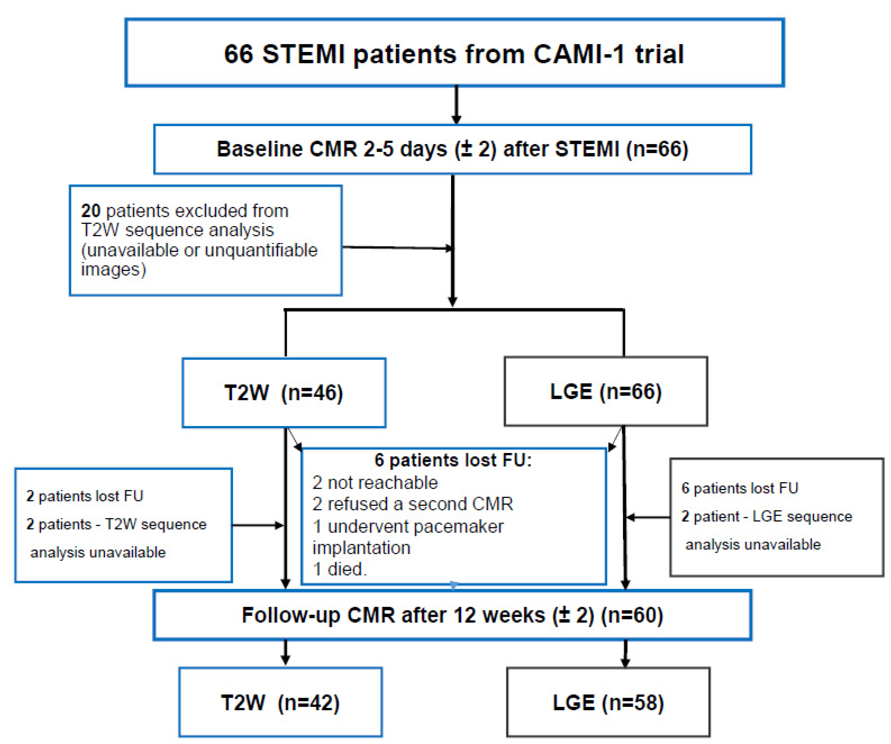 Jcdd 10 00294 g001 Jcdd 10 00294 g001