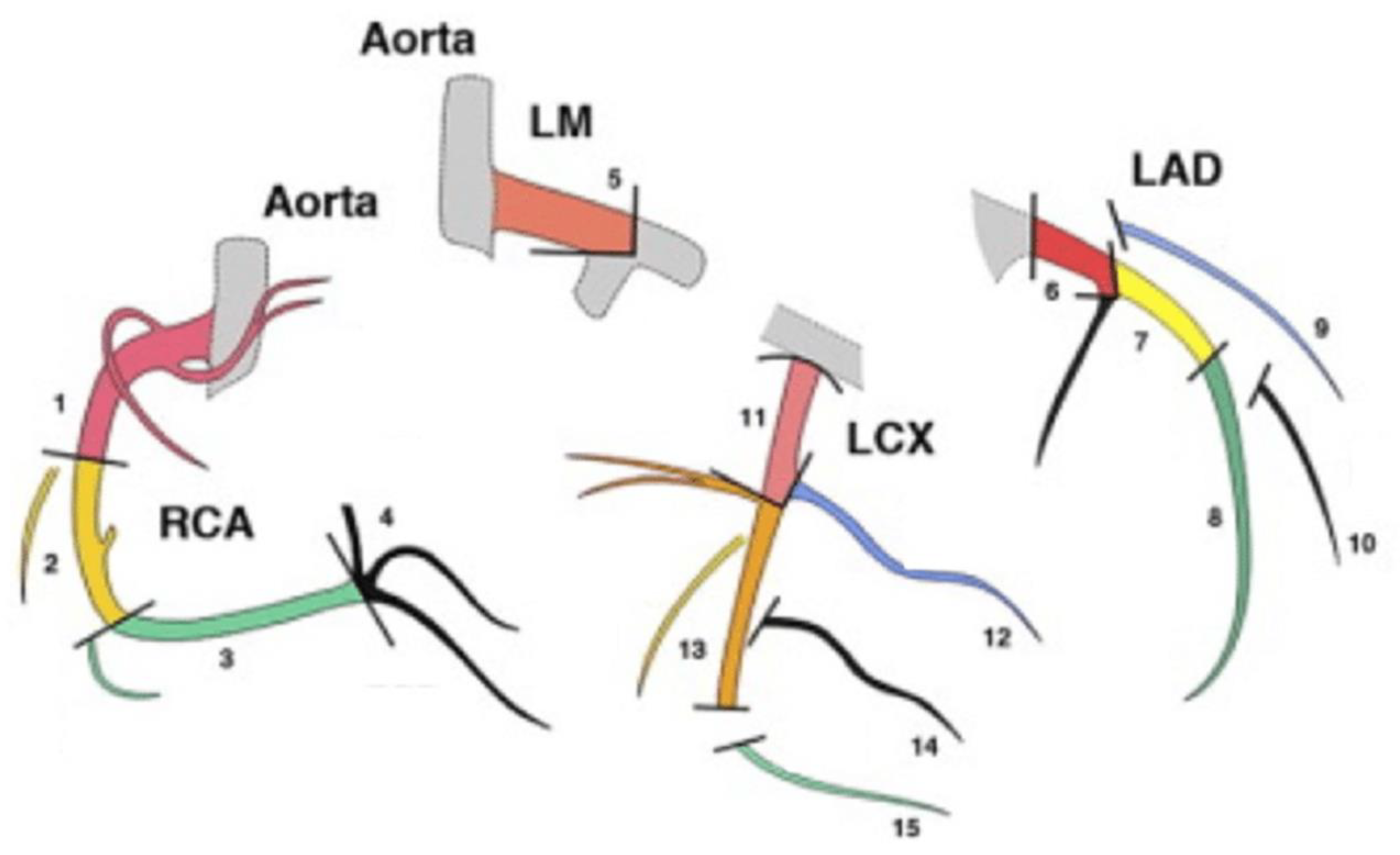 Jcdd 10 00299 g001 Jcdd 10 00299 g001