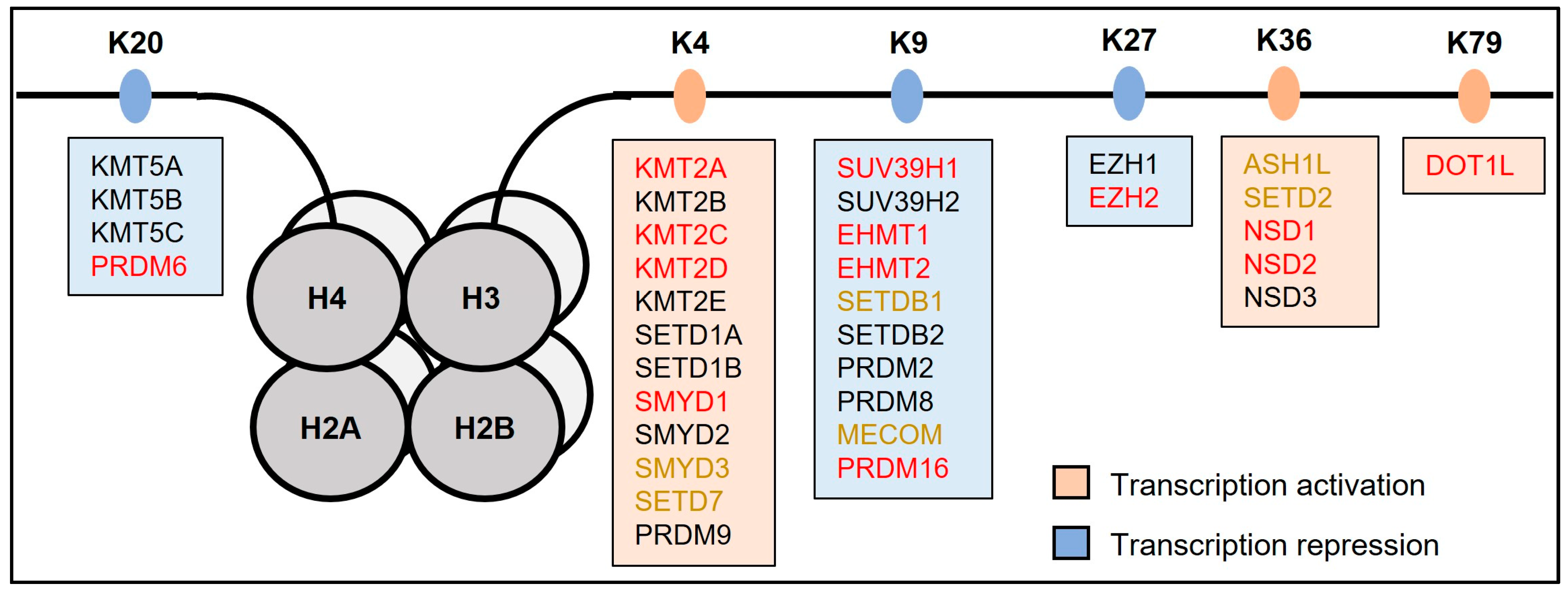 Jcdd 10 00305 g002 Jcdd 10 00305 g002