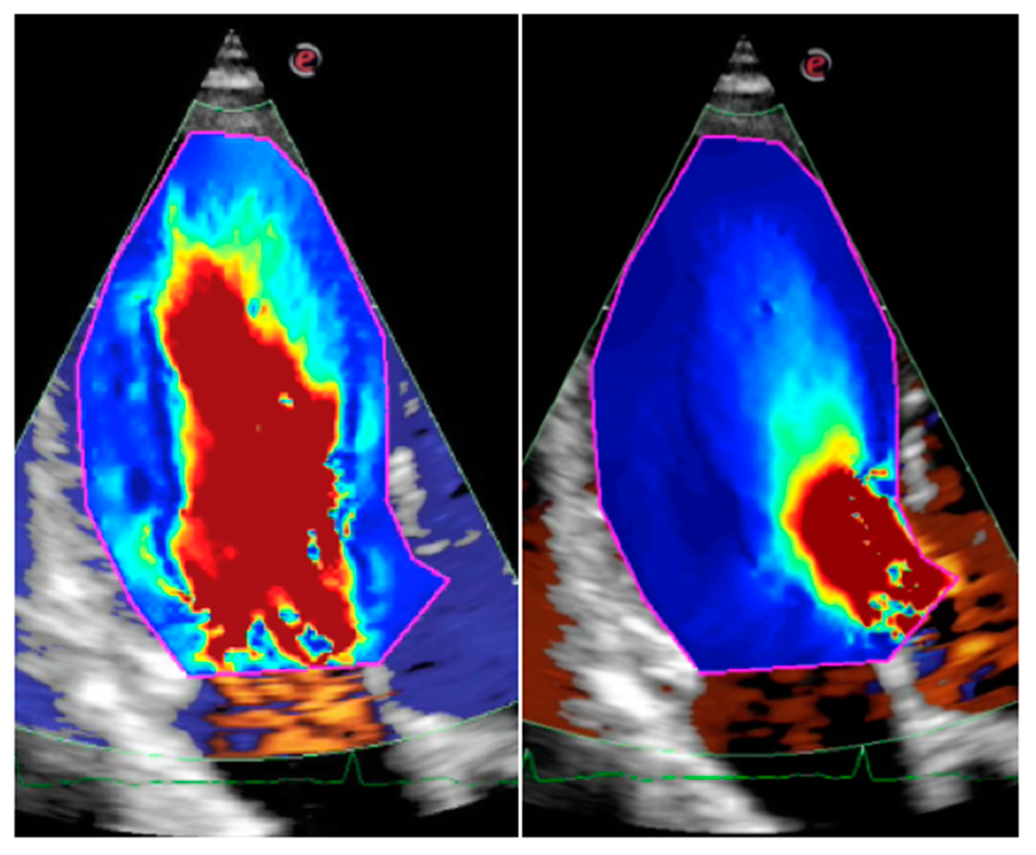 Jcdd 10 00308 g001 Jcdd 10 00308 g001