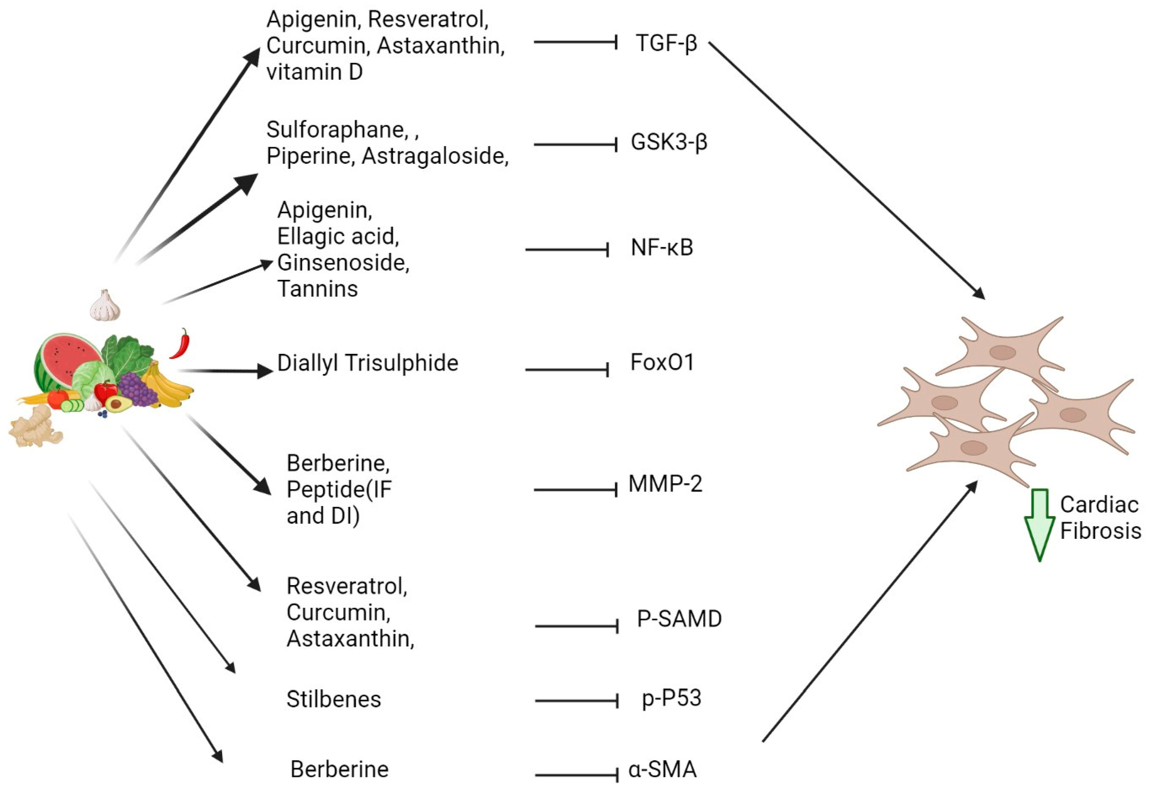 Jcdd 10 00313 g003 Jcdd 10 00313 g003