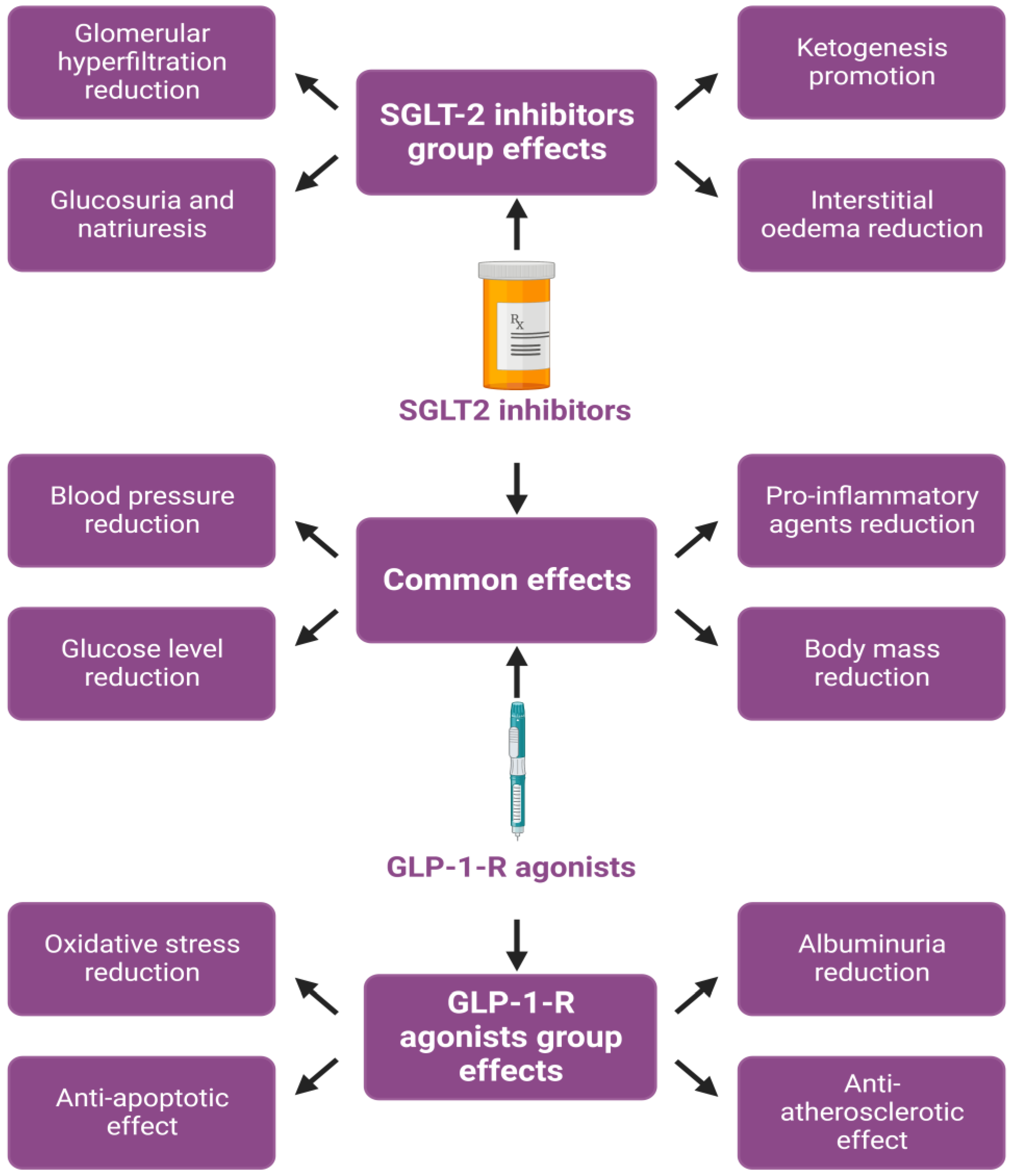 JCDD Free FullText SGLT2 Inhibitors vs. GLP1 Agonists to Treat