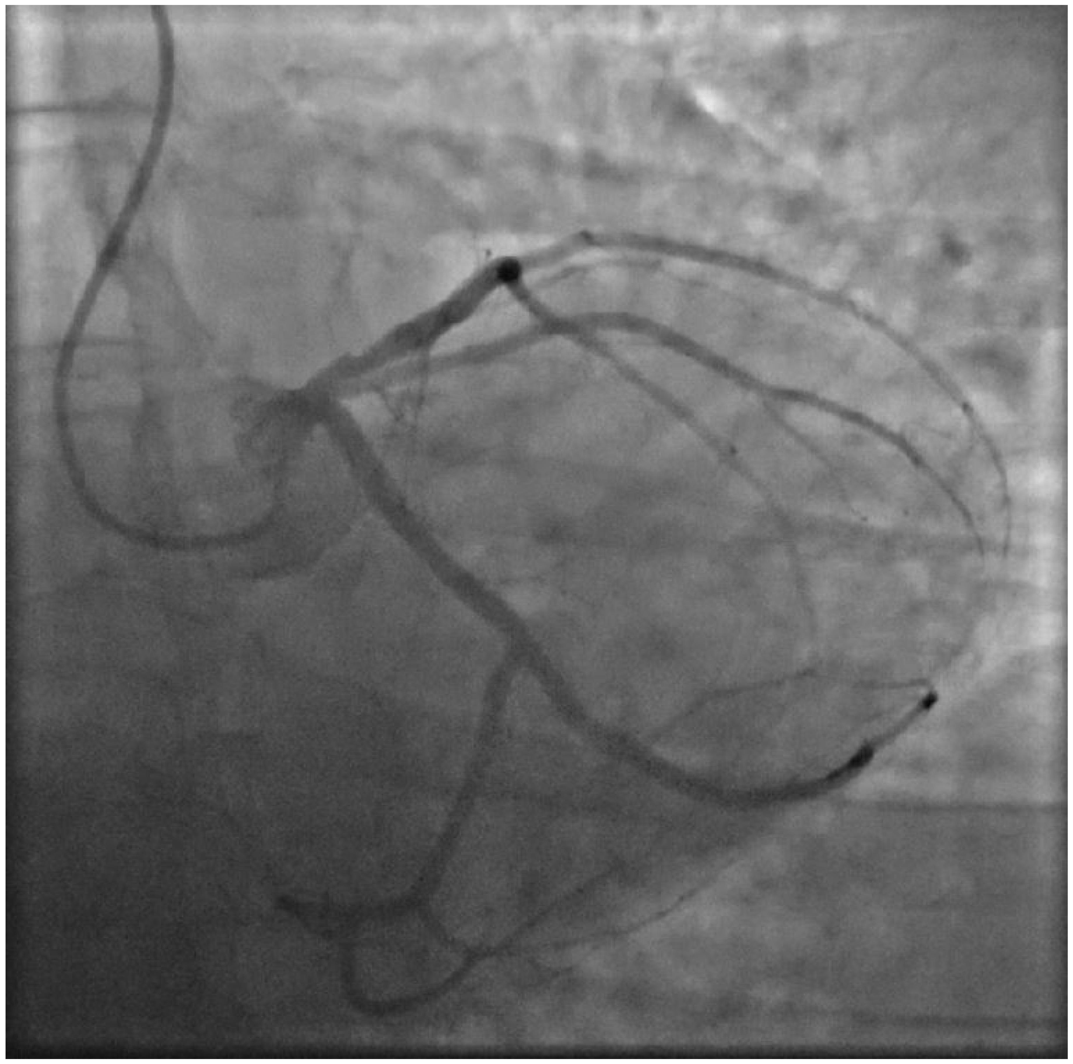 Jcdd 10 00324 g002 Jcdd 10 00324 g002