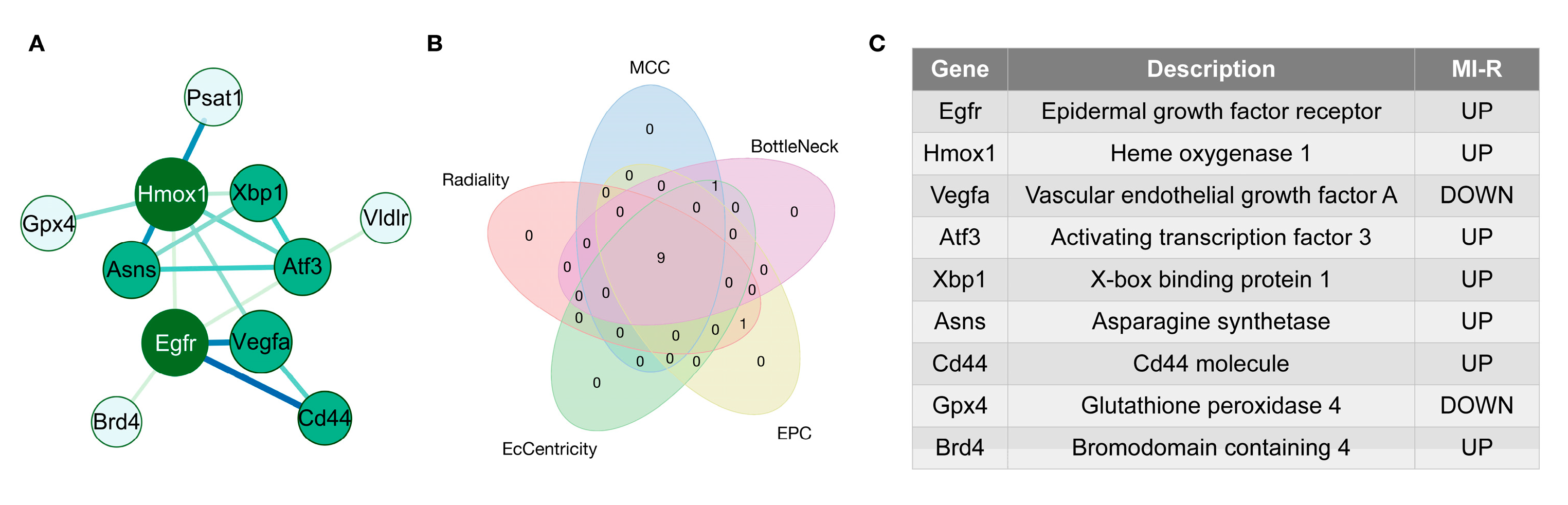 Jcdd 10 00344 g004 Jcdd 10 00344 g004