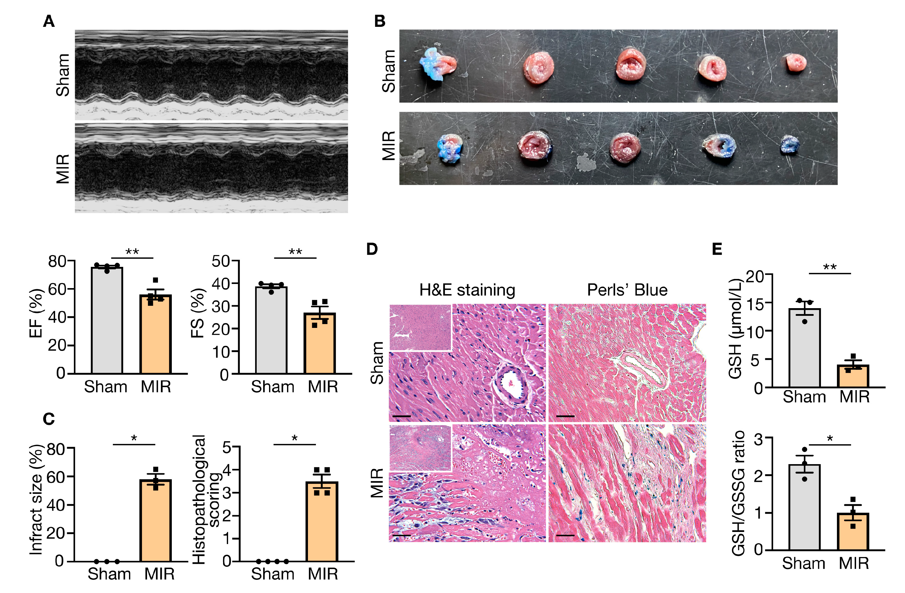 Jcdd 10 00344 g008 Jcdd 10 00344 g008