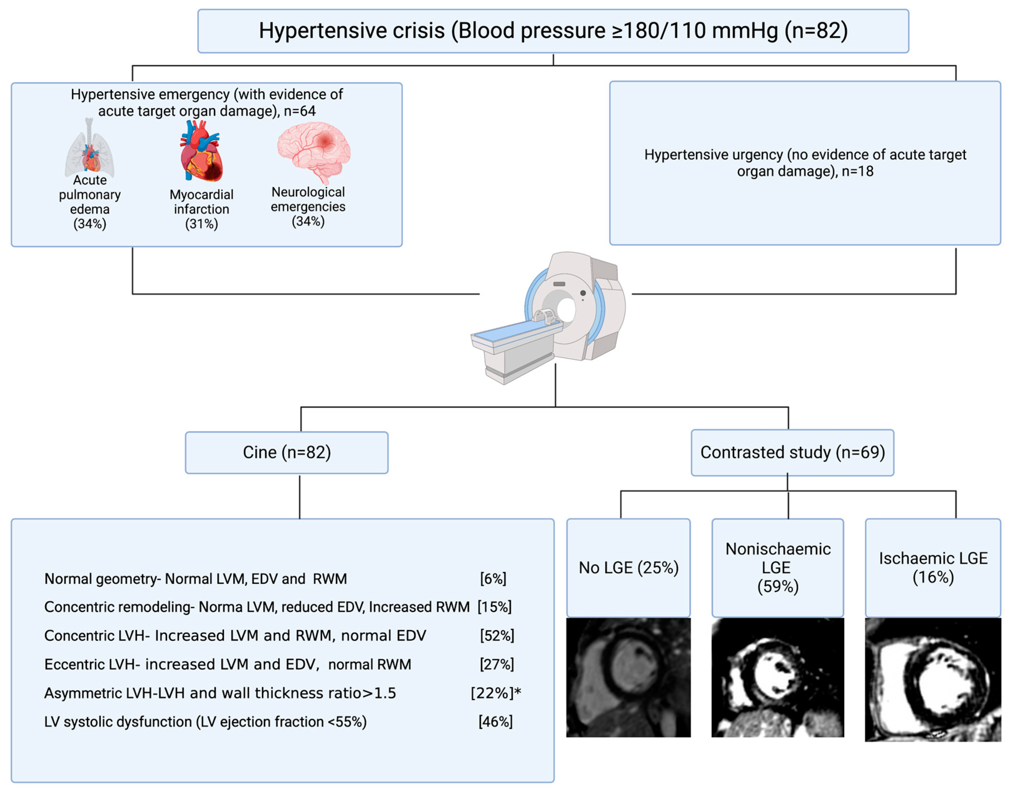 Reference centiles for left ventricular longitudinal global and