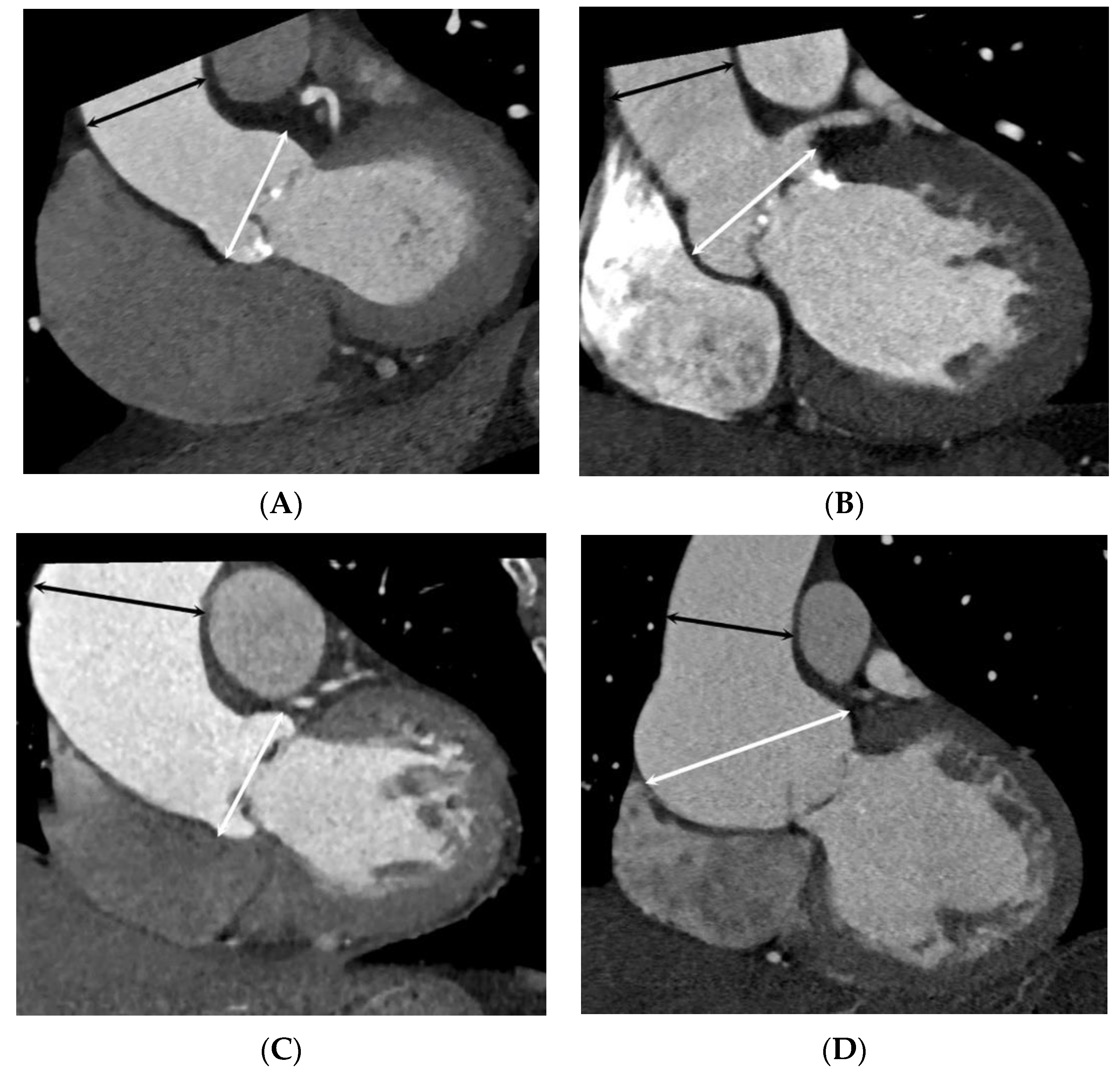 Jcdd 10 00372 g003 Jcdd 10 00372 g003