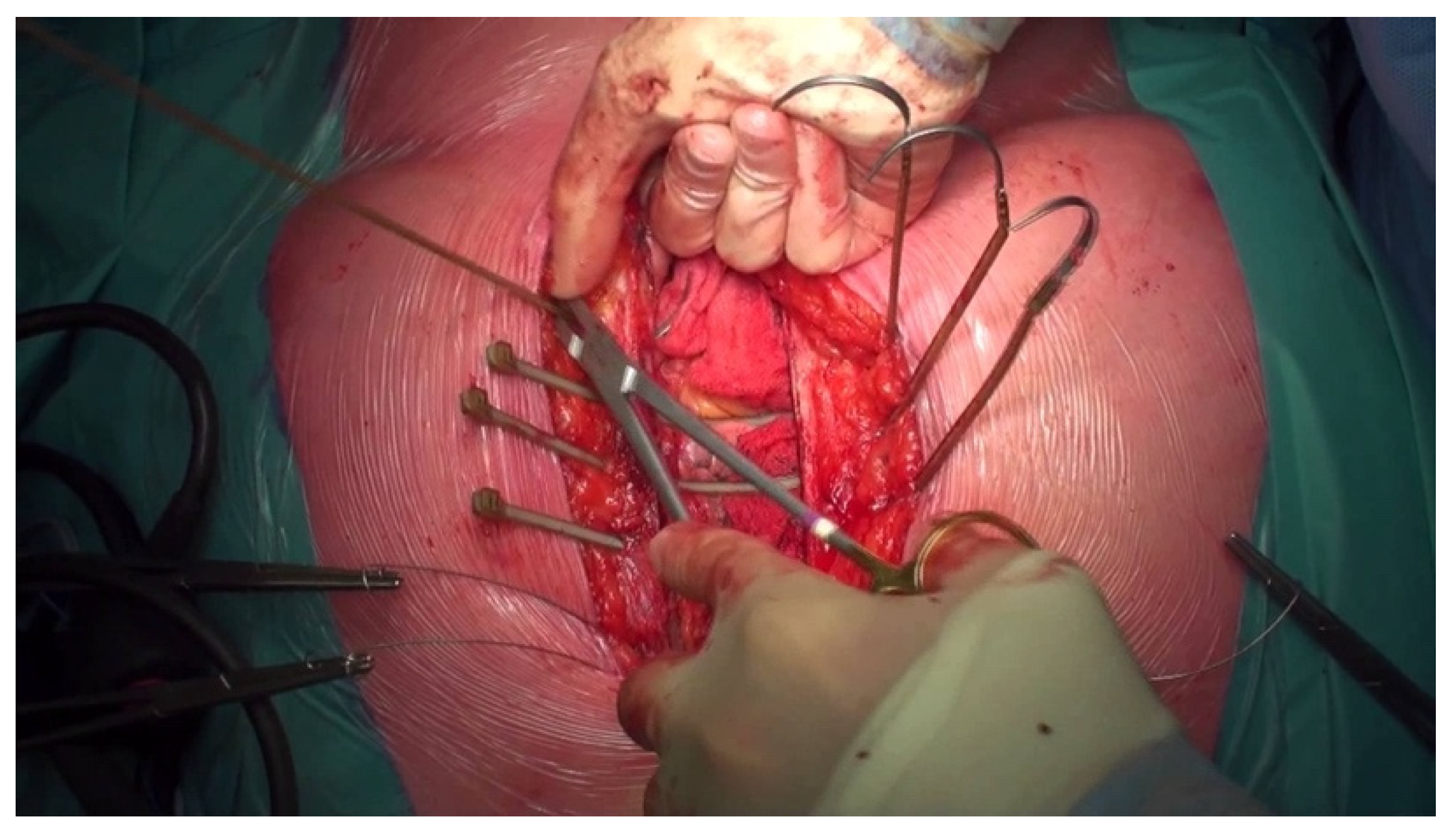 Jcdd 10 00457 g003 Jcdd 10 00457 g003