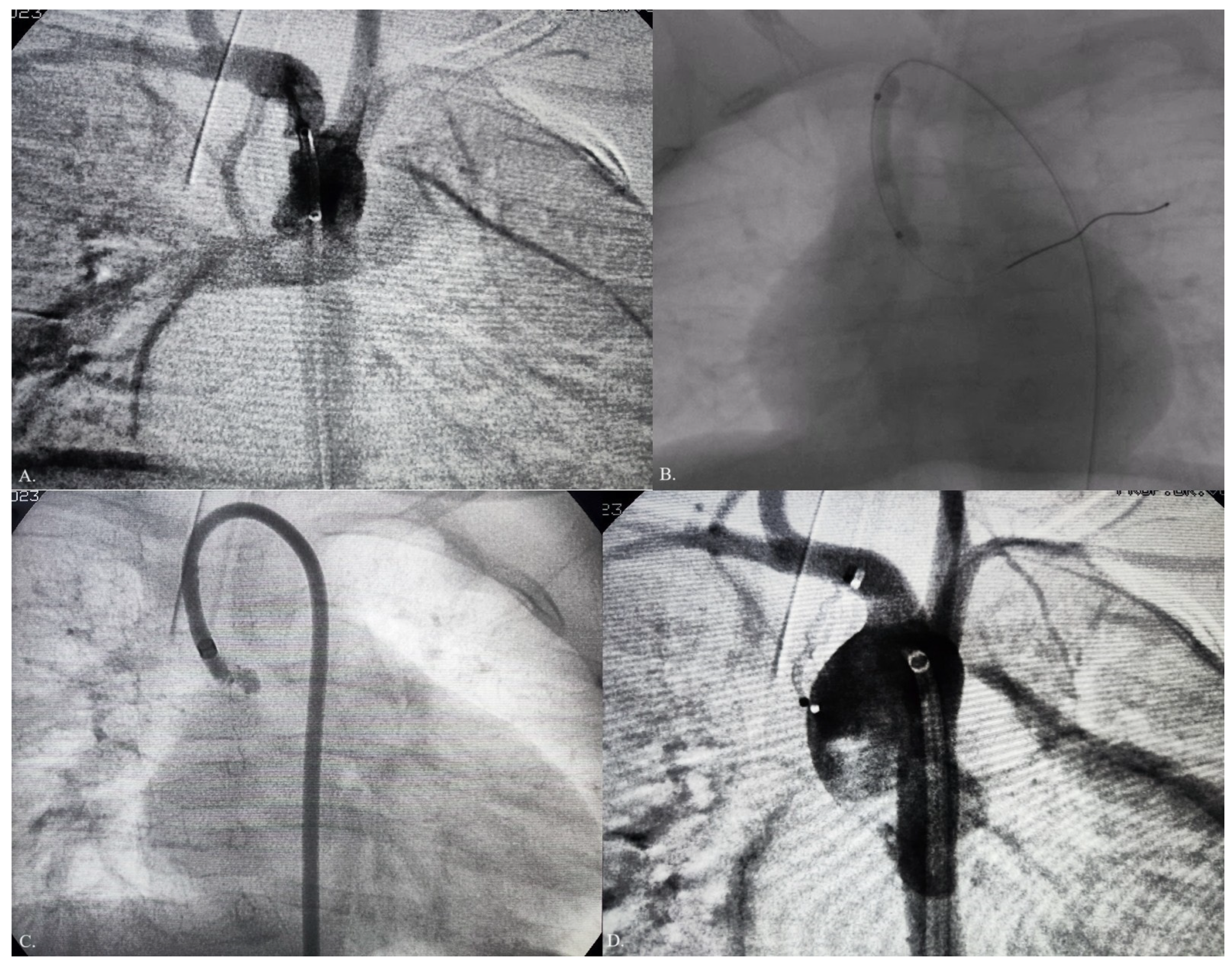 Jcdd 10 00460 g004 Jcdd 10 00460 g004