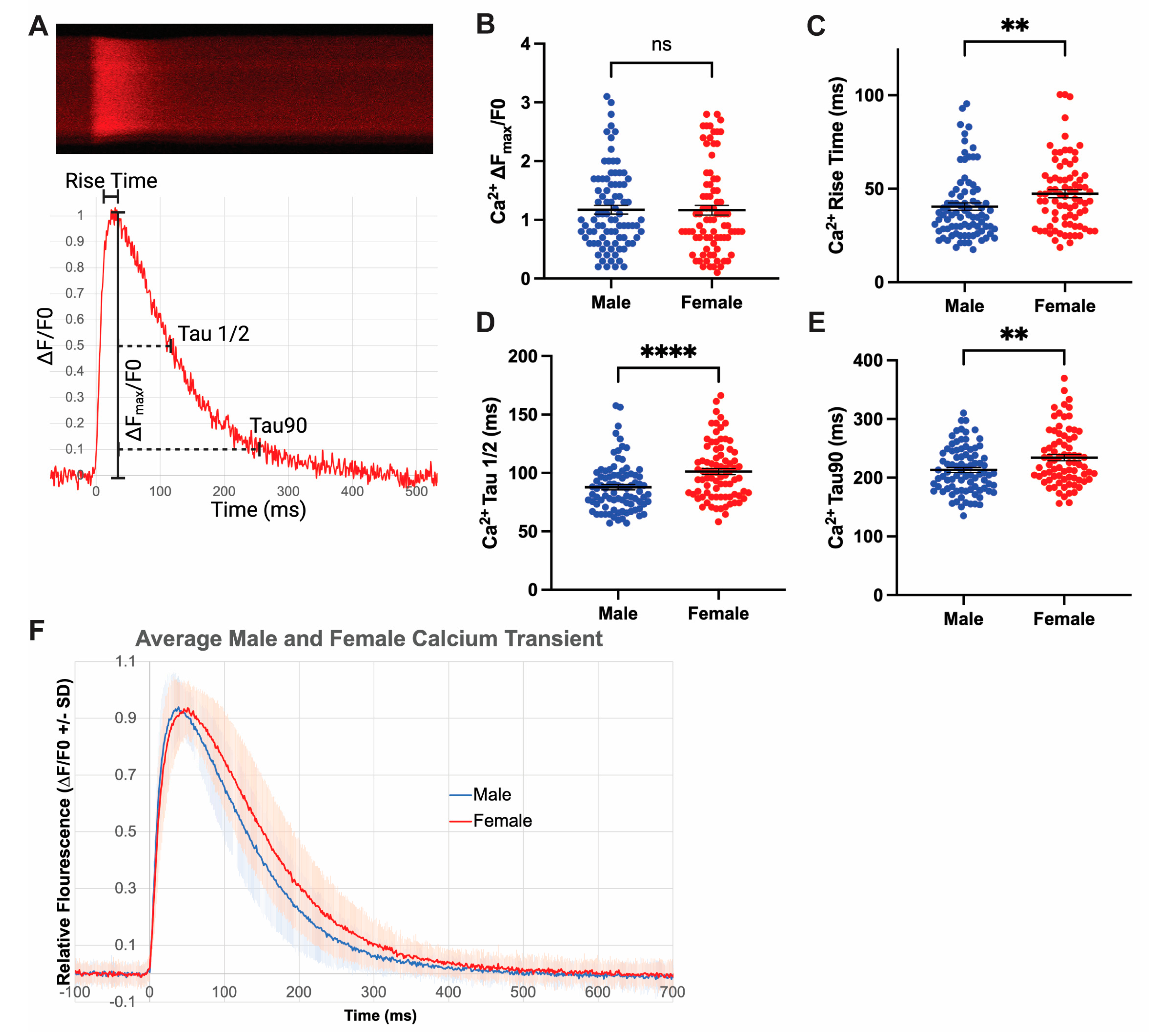Jcdd 10 00479 g004 Jcdd 10 00479 g004