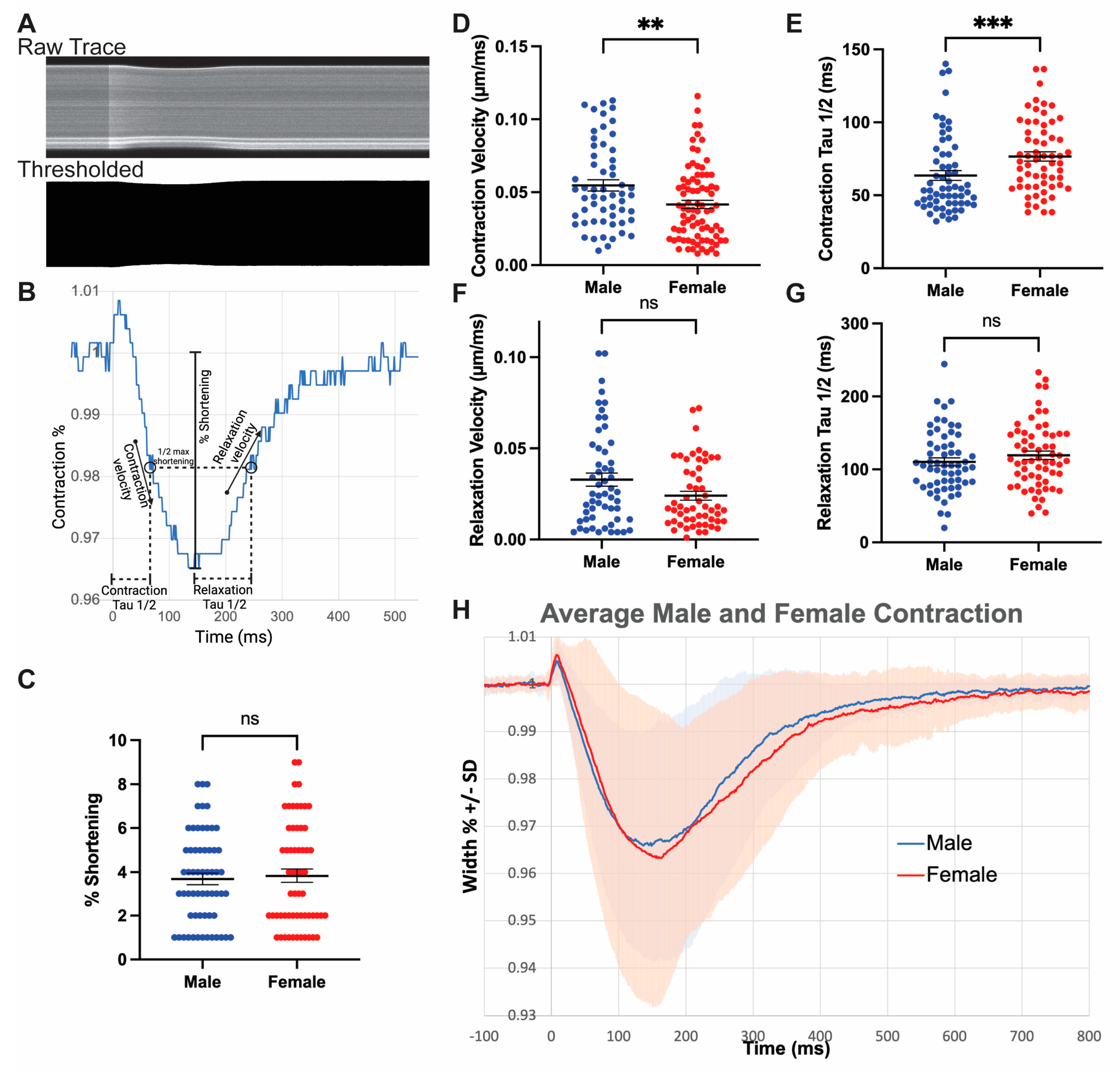 Jcdd 10 00479 g005 Jcdd 10 00479 g005