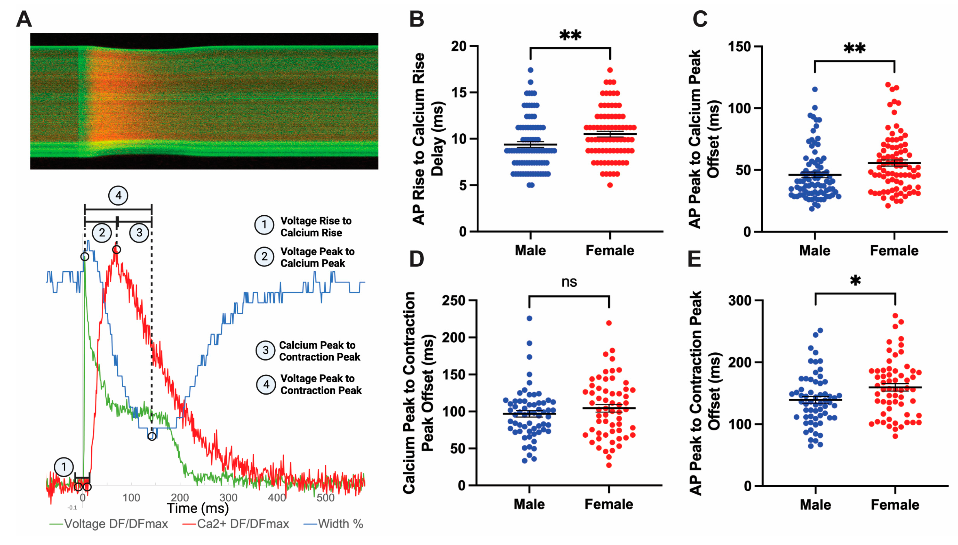 Jcdd 10 00479 g006 Jcdd 10 00479 g006