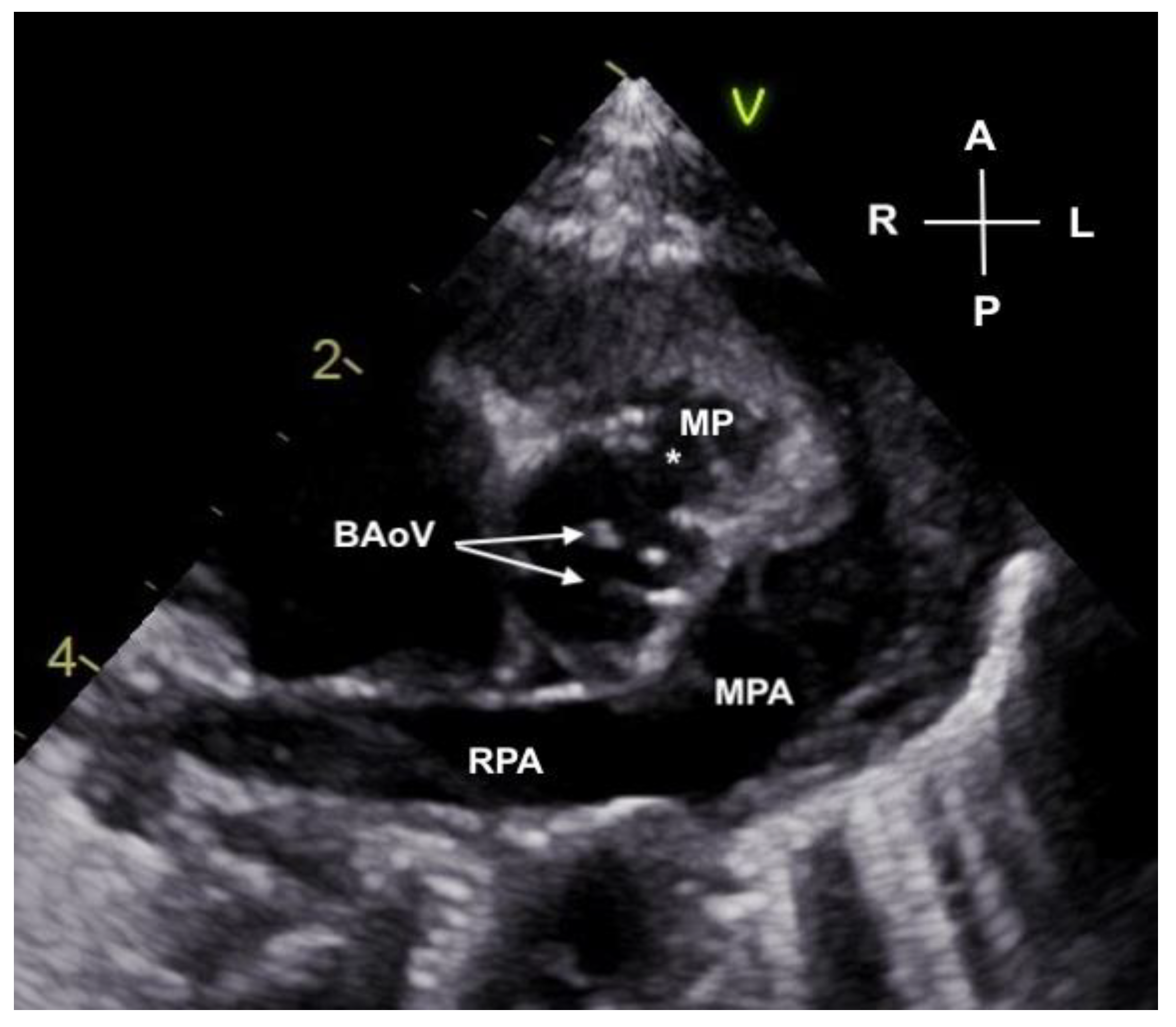 Jcdd 11 00023 g003 Jcdd 11 00023 g003