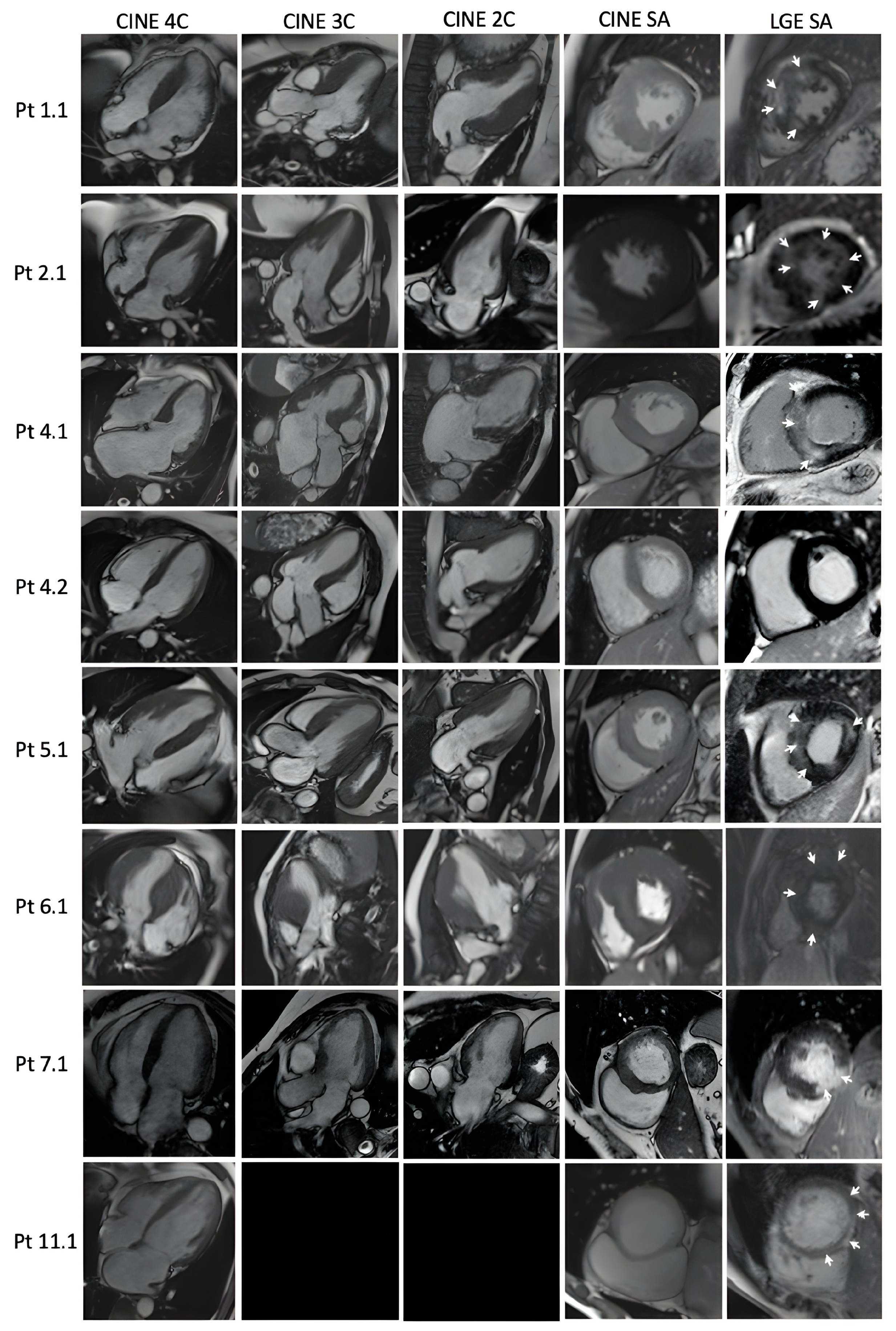 Jcdd 11 00041 g002 Jcdd 11 00041 g002