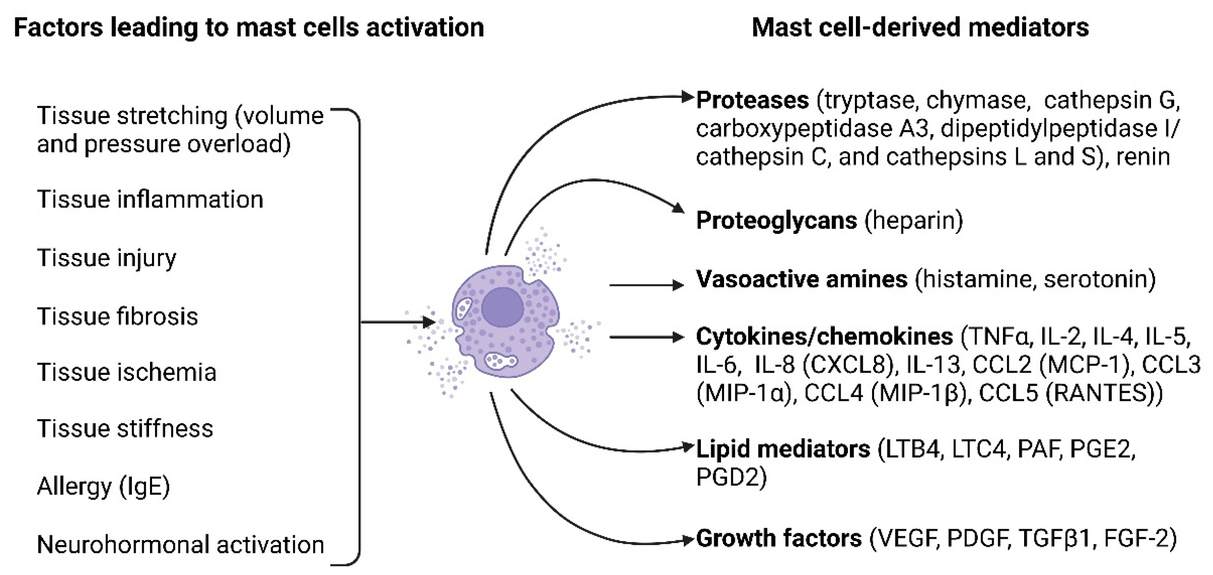 Jcdd 11 00054 g001 Jcdd 11 00054 g001