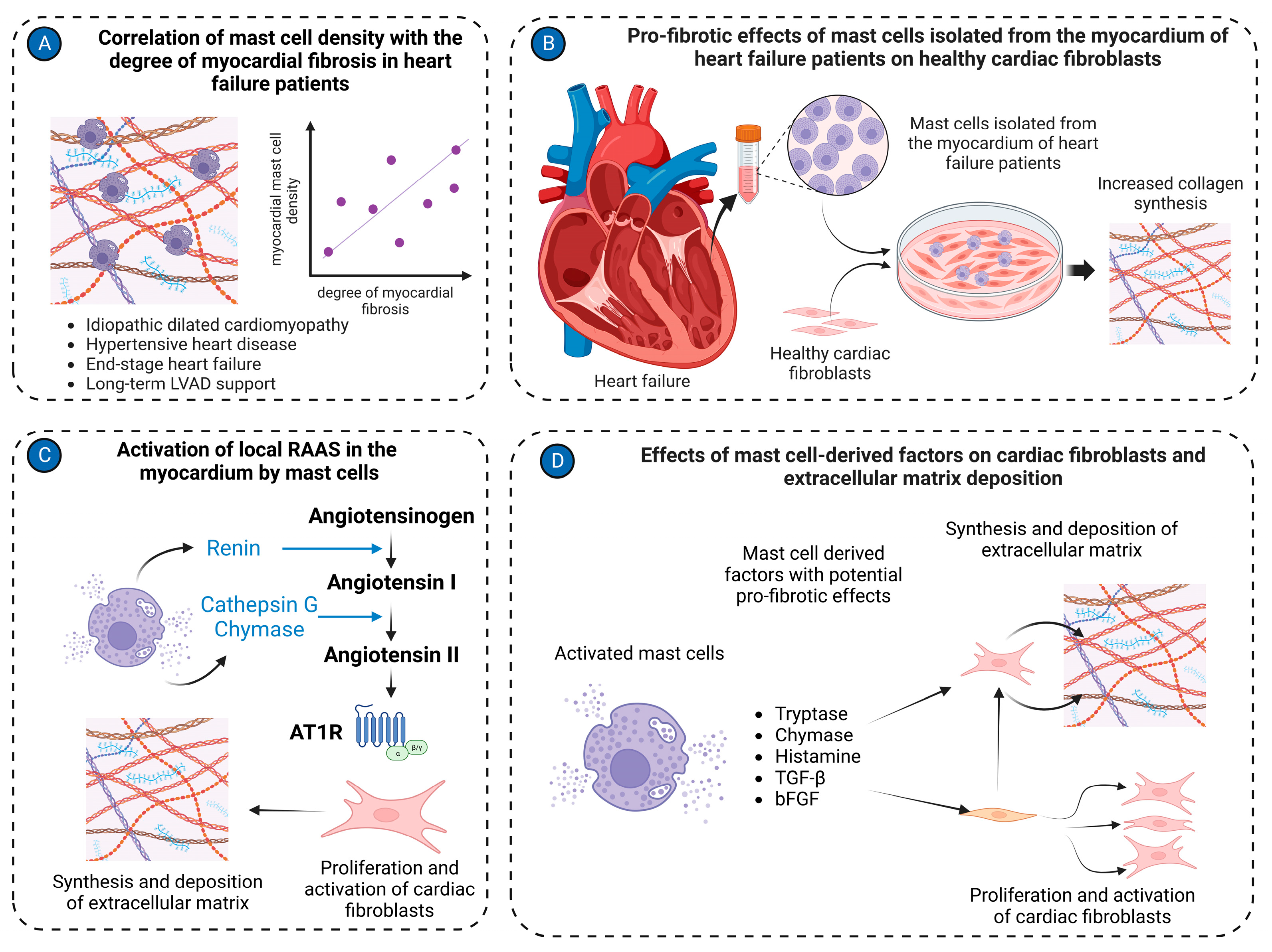 Jcdd 11 00054 g003 Jcdd 11 00054 g003