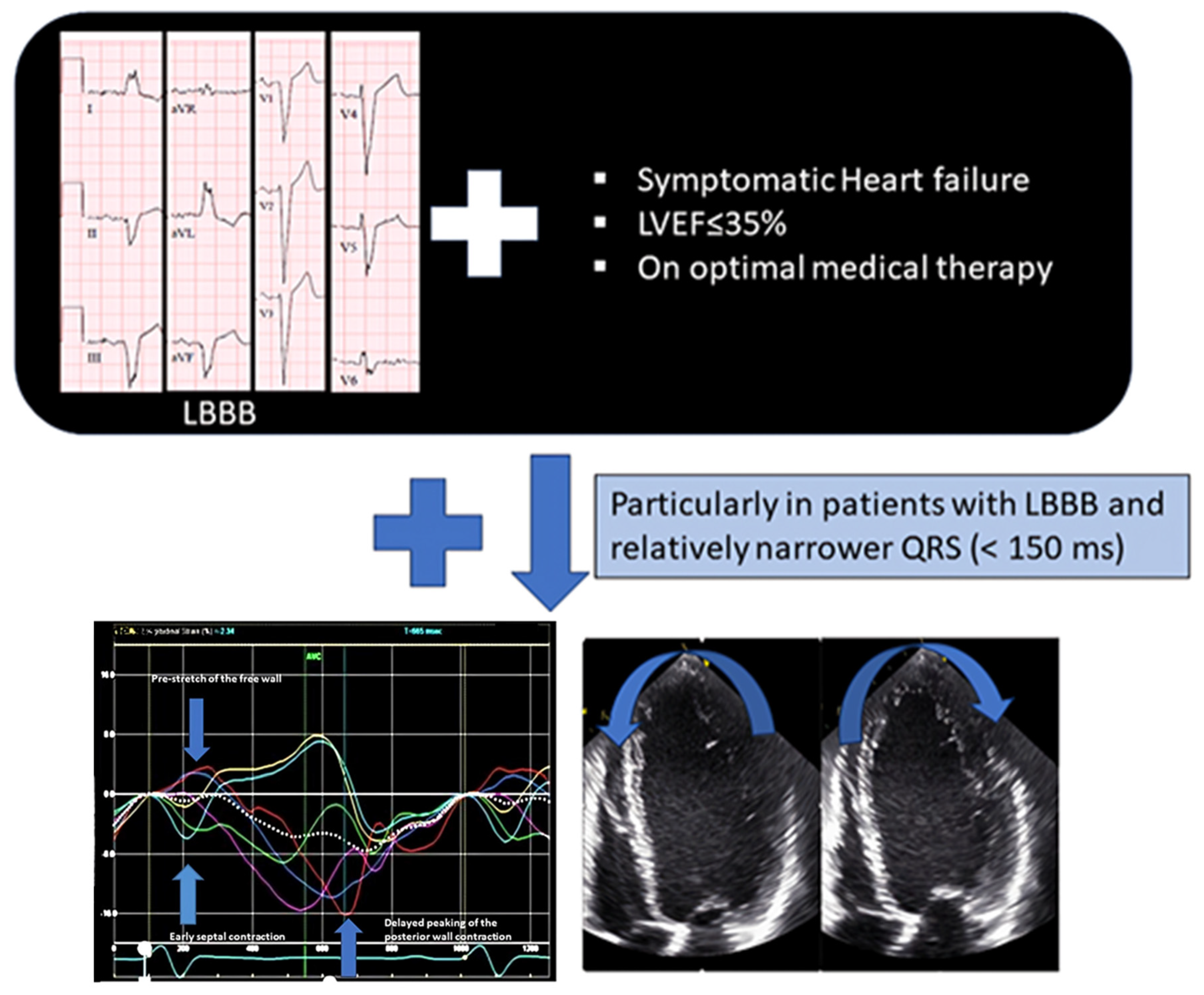 Jcdd 11 00064 g006 Jcdd 11 00064 g006