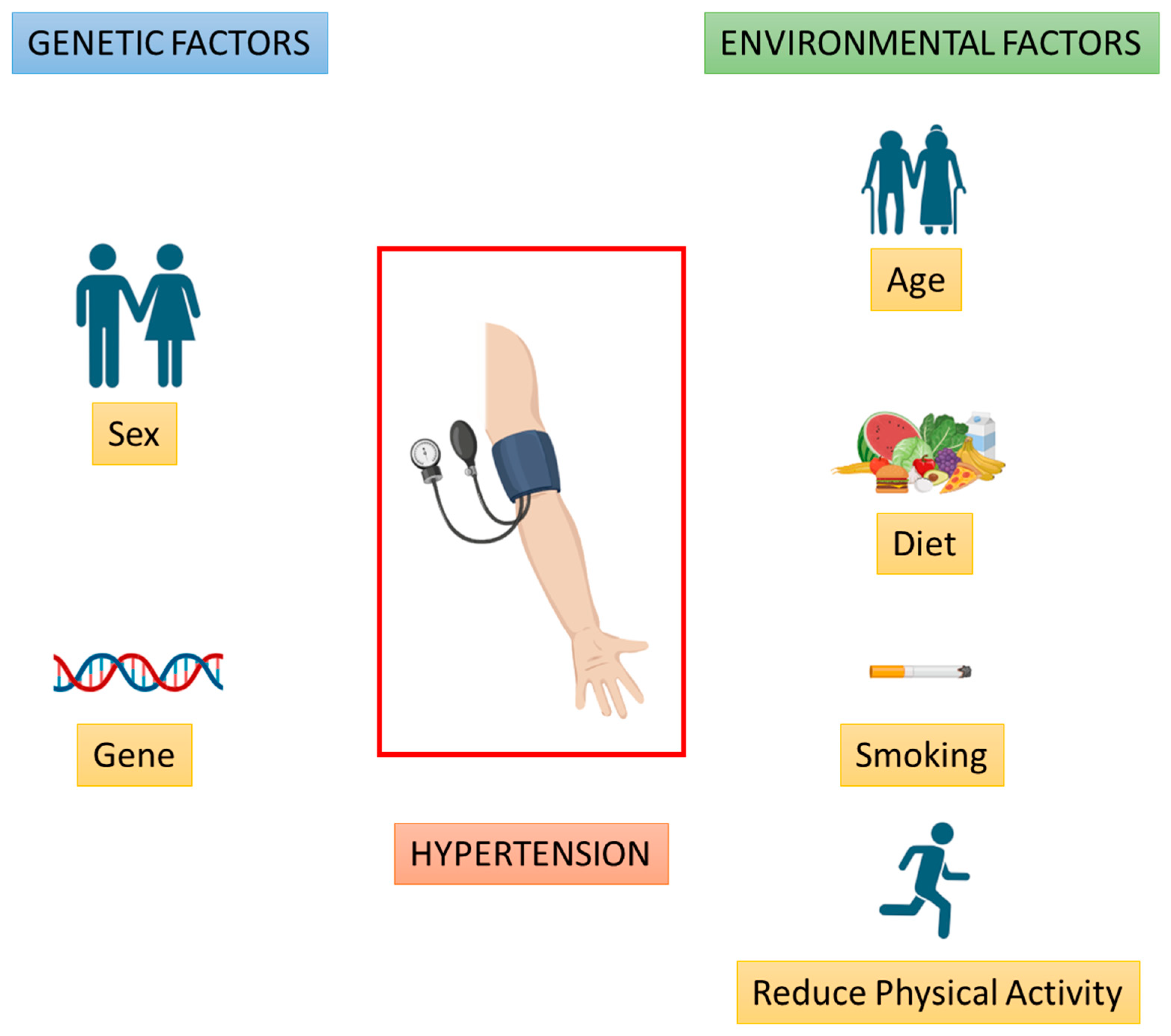 Genetics of Hypertension From Monogenic Analysis to GETomics