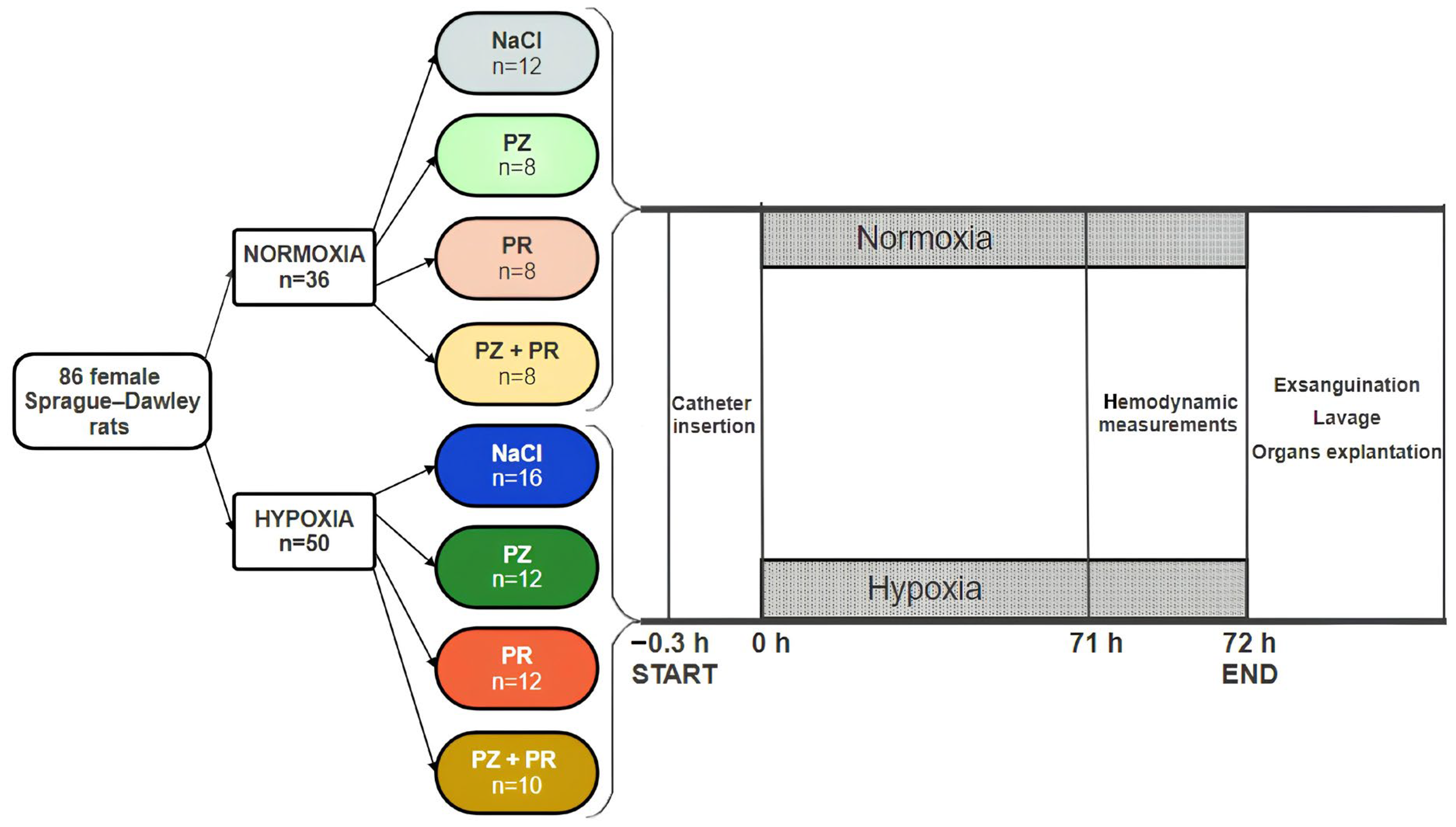 Jcdd 11 00195 g001 Jcdd 11 00195 g001