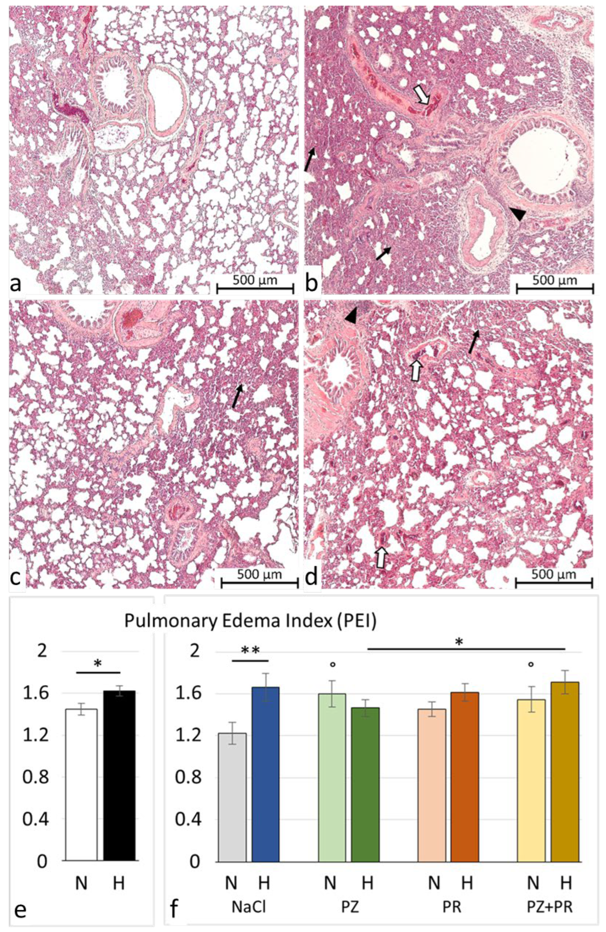 Jcdd 11 00195 g002 Jcdd 11 00195 g002