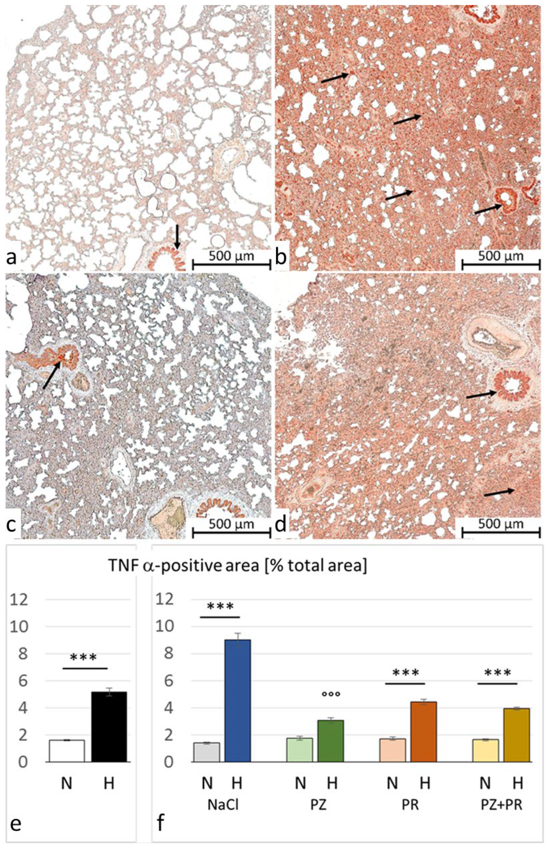 Jcdd 11 00195 g004 Jcdd 11 00195 g004