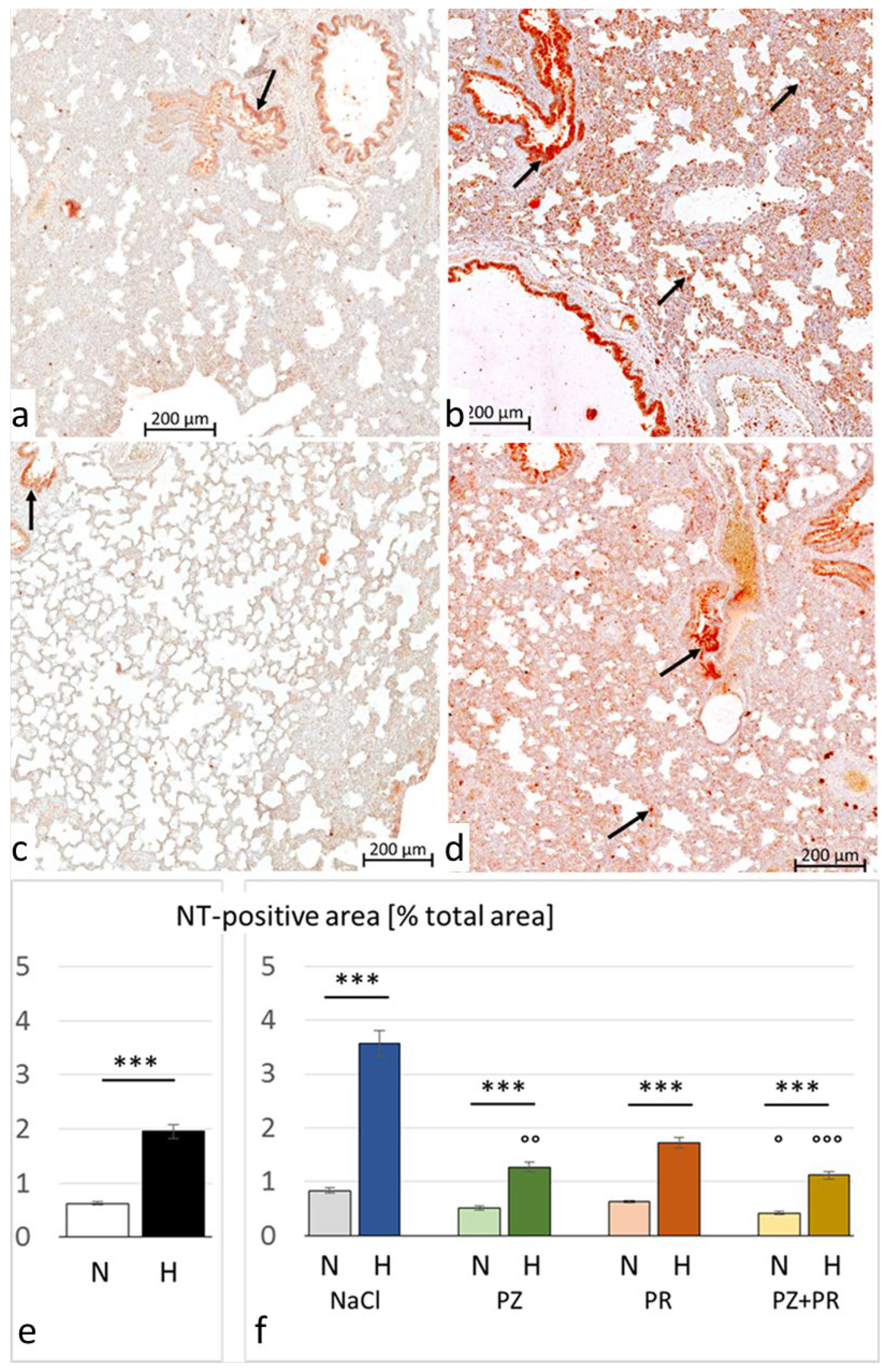 Jcdd 11 00195 g005 Jcdd 11 00195 g005