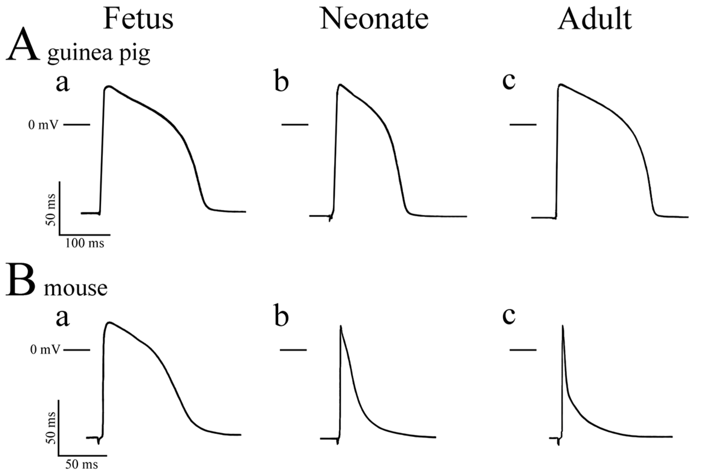 Jcdd 11 00267 g001 Jcdd 11 00267 g001