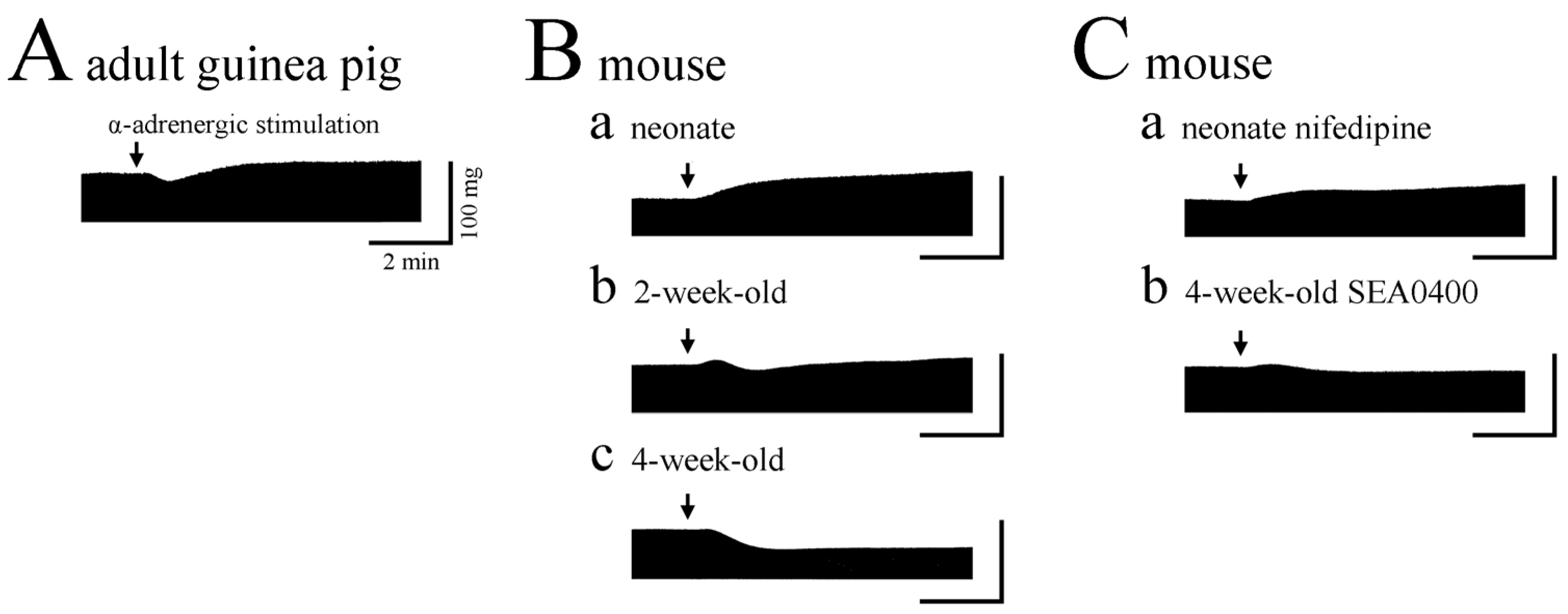 Jcdd 11 00267 g003 Jcdd 11 00267 g003