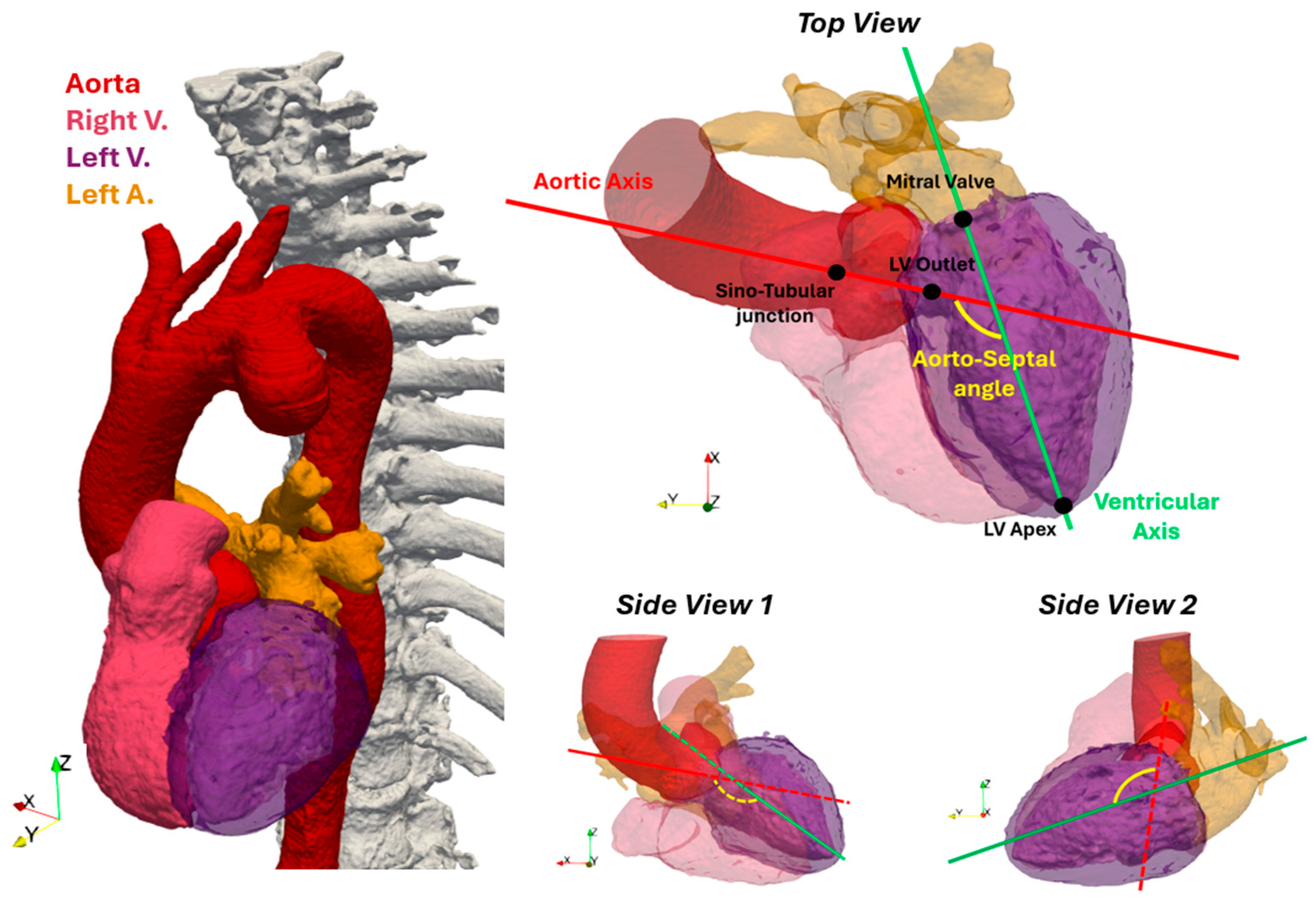 B64-178 Vol.91, No.5 (647-806) The Journal of THORACIC AND