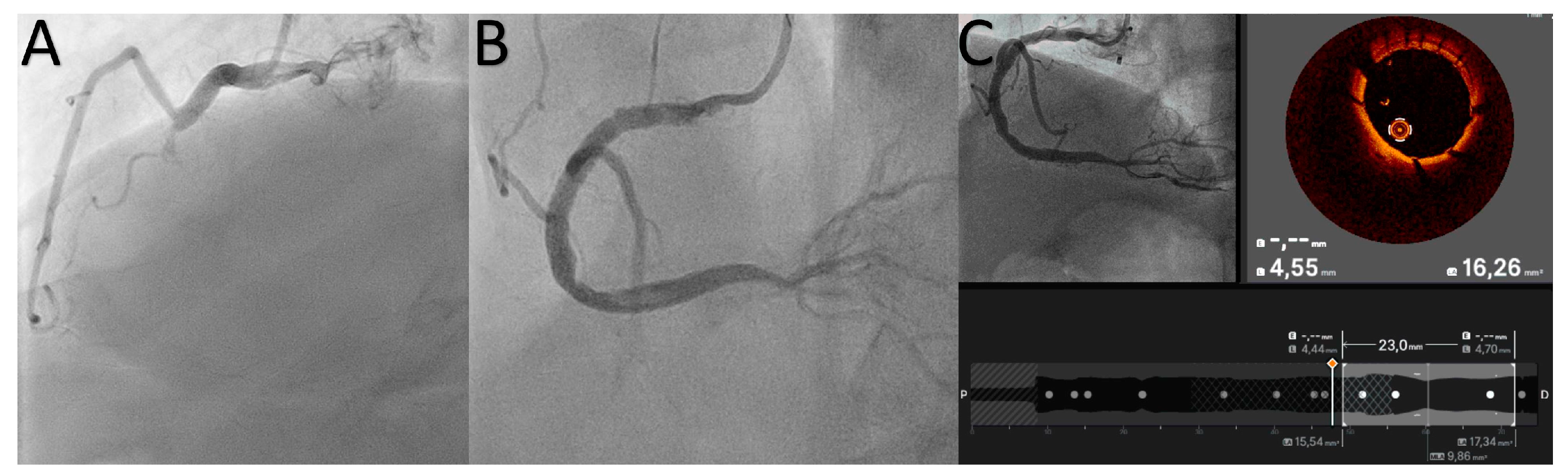 Jcdd 11 00295 g001 Jcdd 11 00295 g001