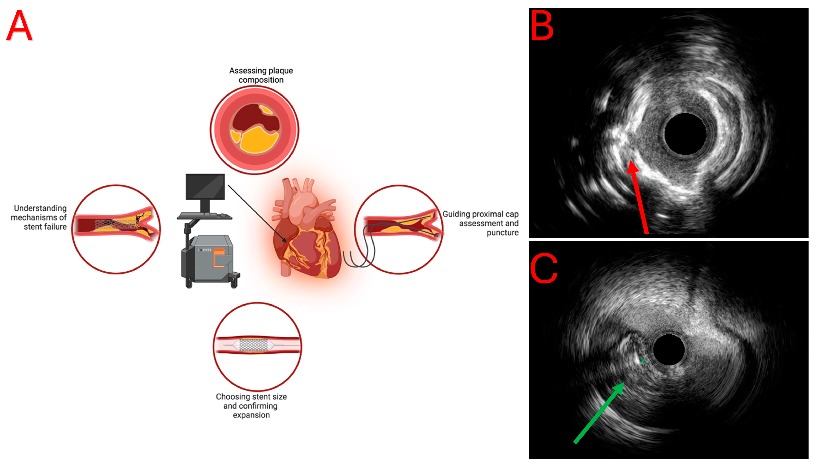 Jcdd 11 00295 g002 Jcdd 11 00295 g002