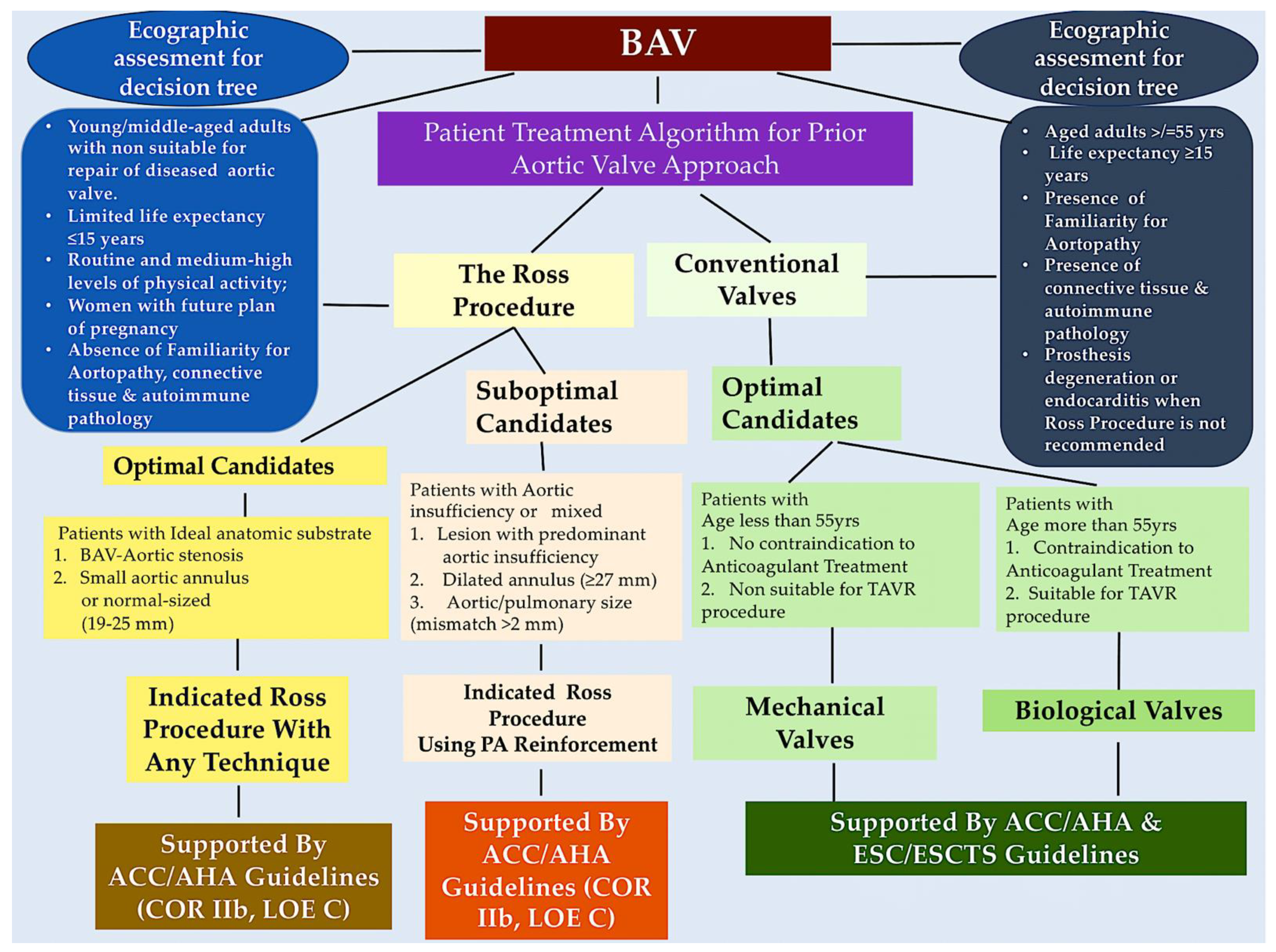 Jcdd 11 00317 sch001