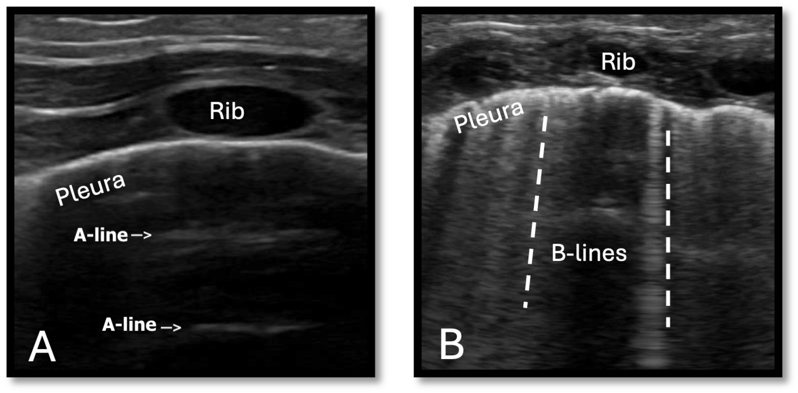Jcdd 12 00038 g003 Jcdd 12 00038 g003
