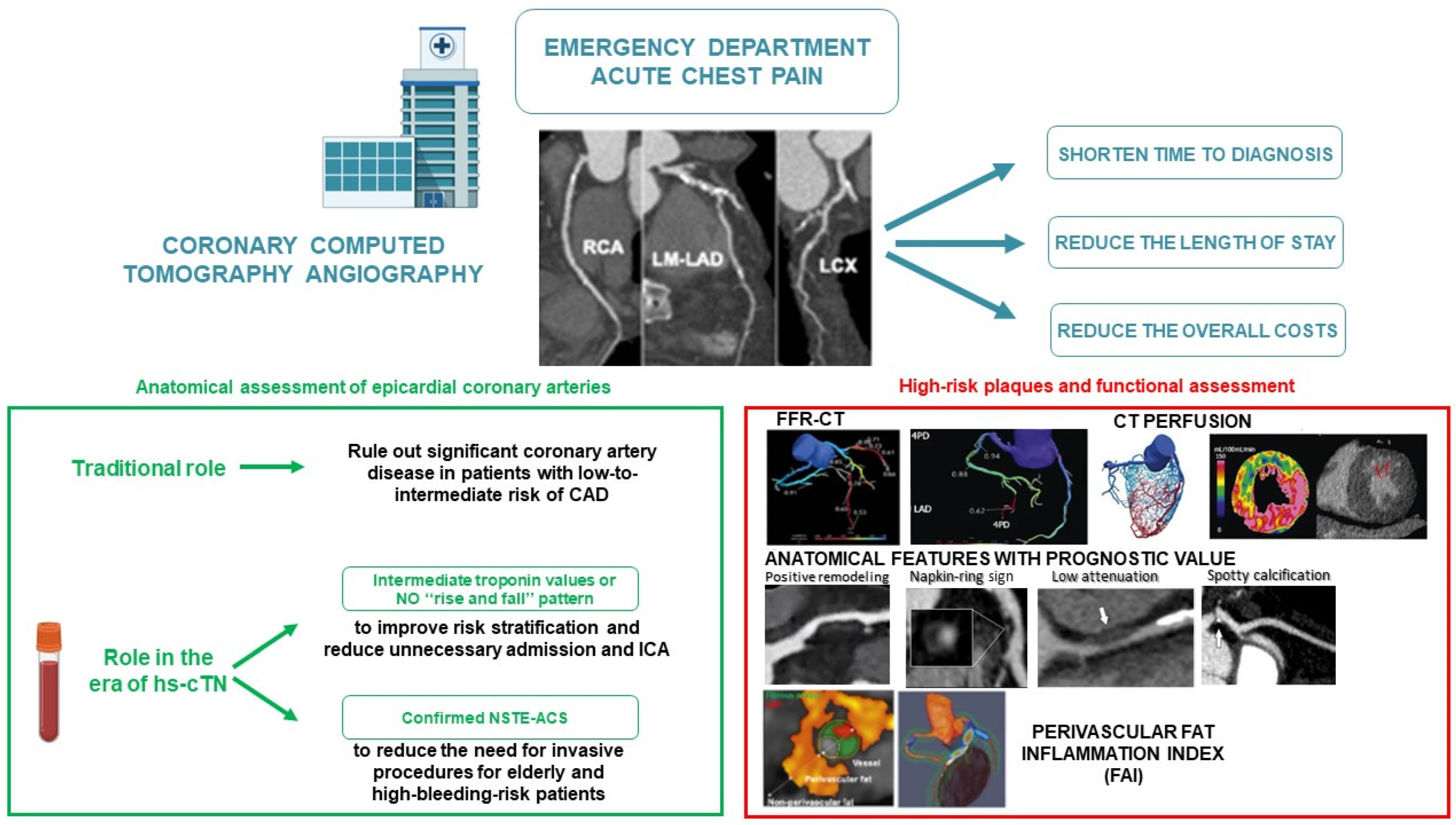 【楽天スーパーセール】 Department: Emergency the in Angiography CT Coronary State Perspectives Future  and Art the of 絵本・児童書