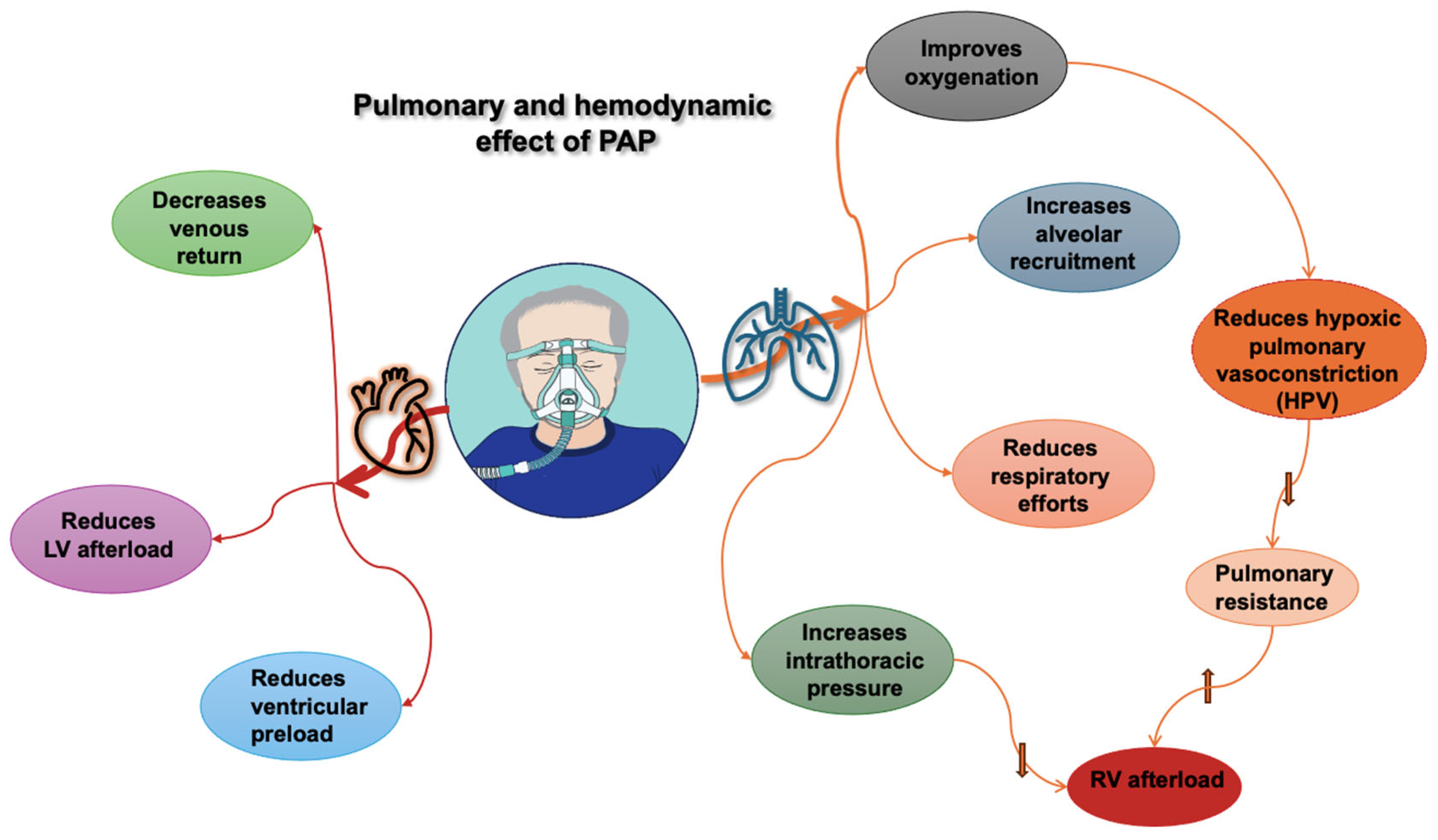 Jcdd 12 00097 g001 Jcdd 12 00097 g001