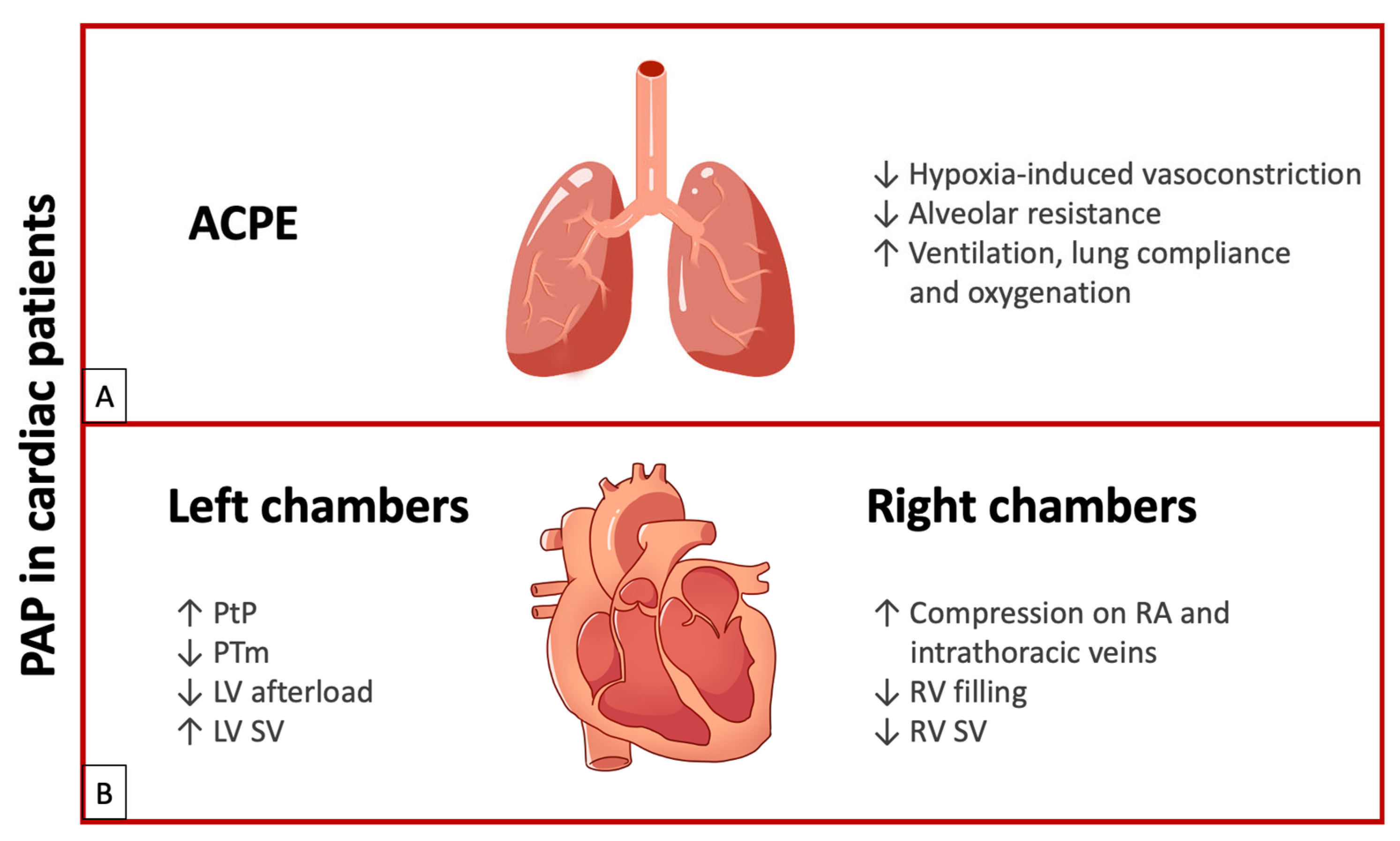 Jcdd 12 00097 g002 Jcdd 12 00097 g002