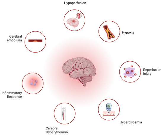 Neuroprotective Strategies in Coronary Artery Disease Interventions