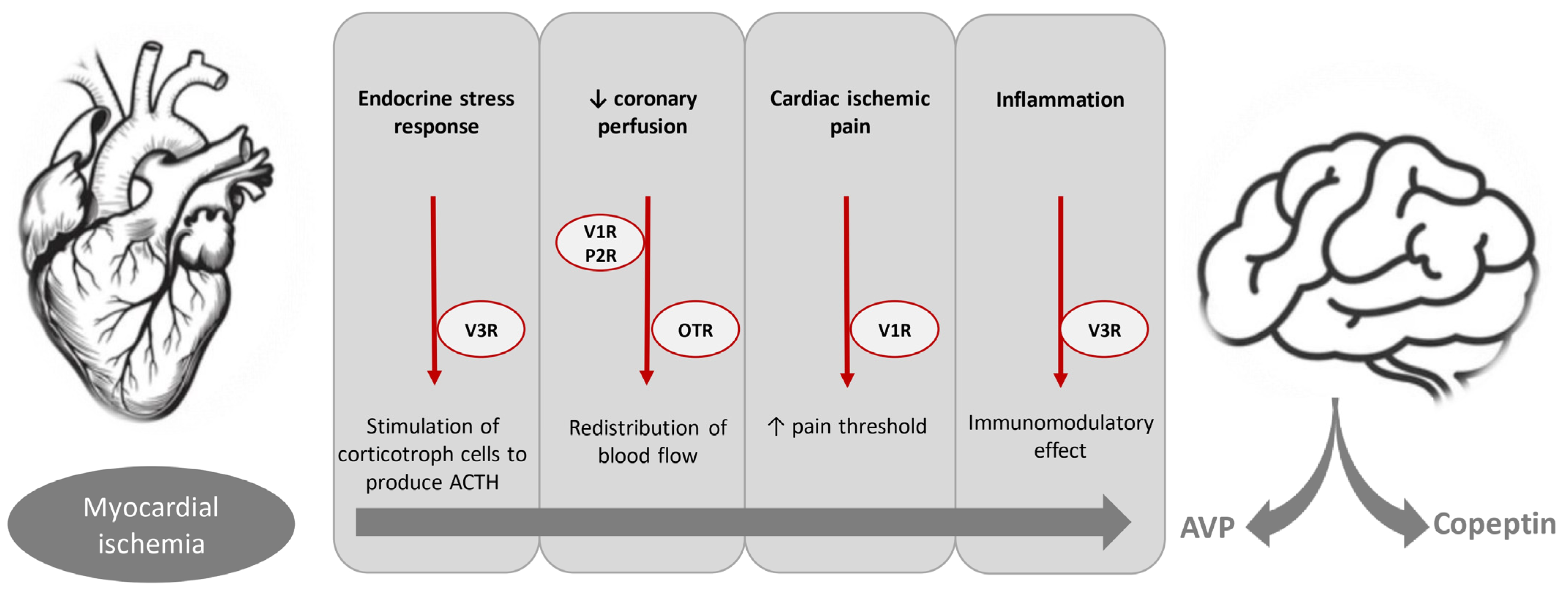 Jcdd 12 00144 g001 Jcdd 12 00144 g001