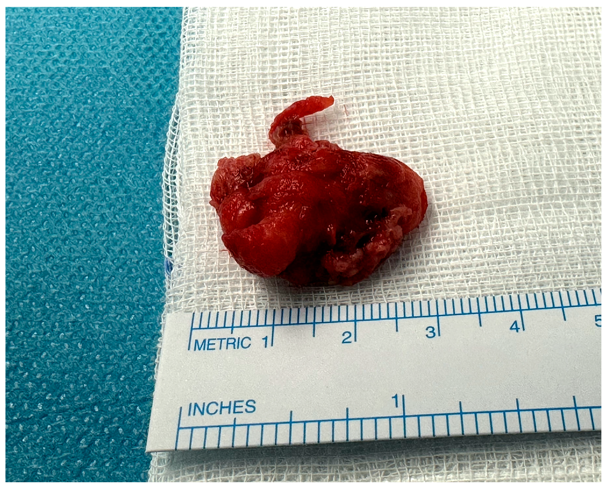 Jcdd 12 00146 g005 Jcdd 12 00146 g005