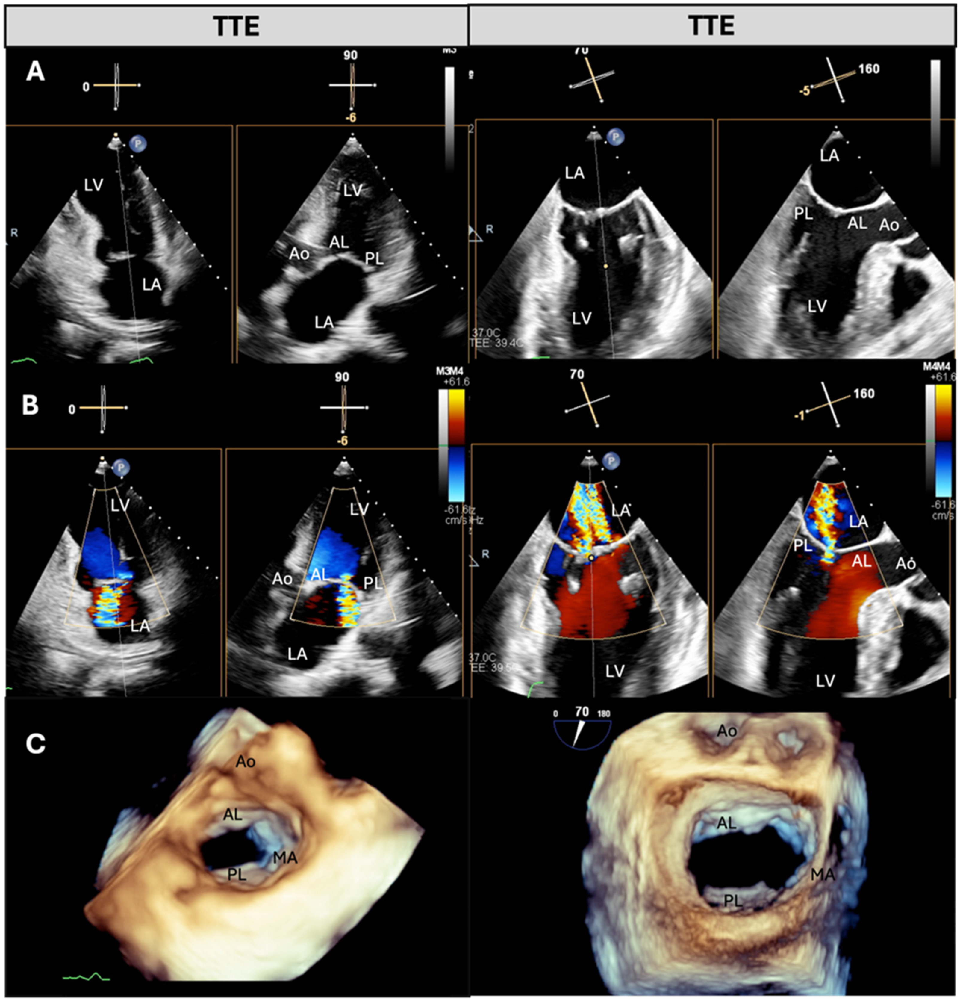 Jcdd 12 00149 g001 Jcdd 12 00149 g001