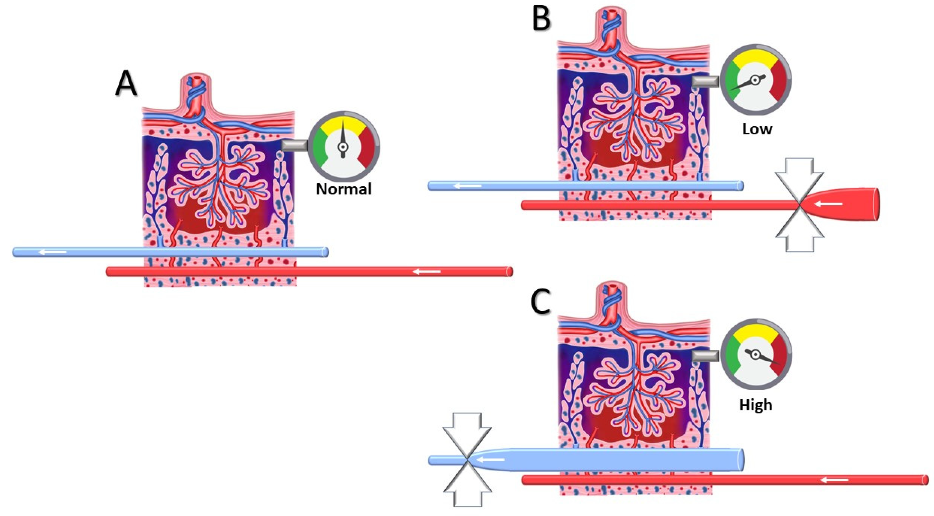 Jcdd 12 00193 g002 Jcdd 12 00193 g002