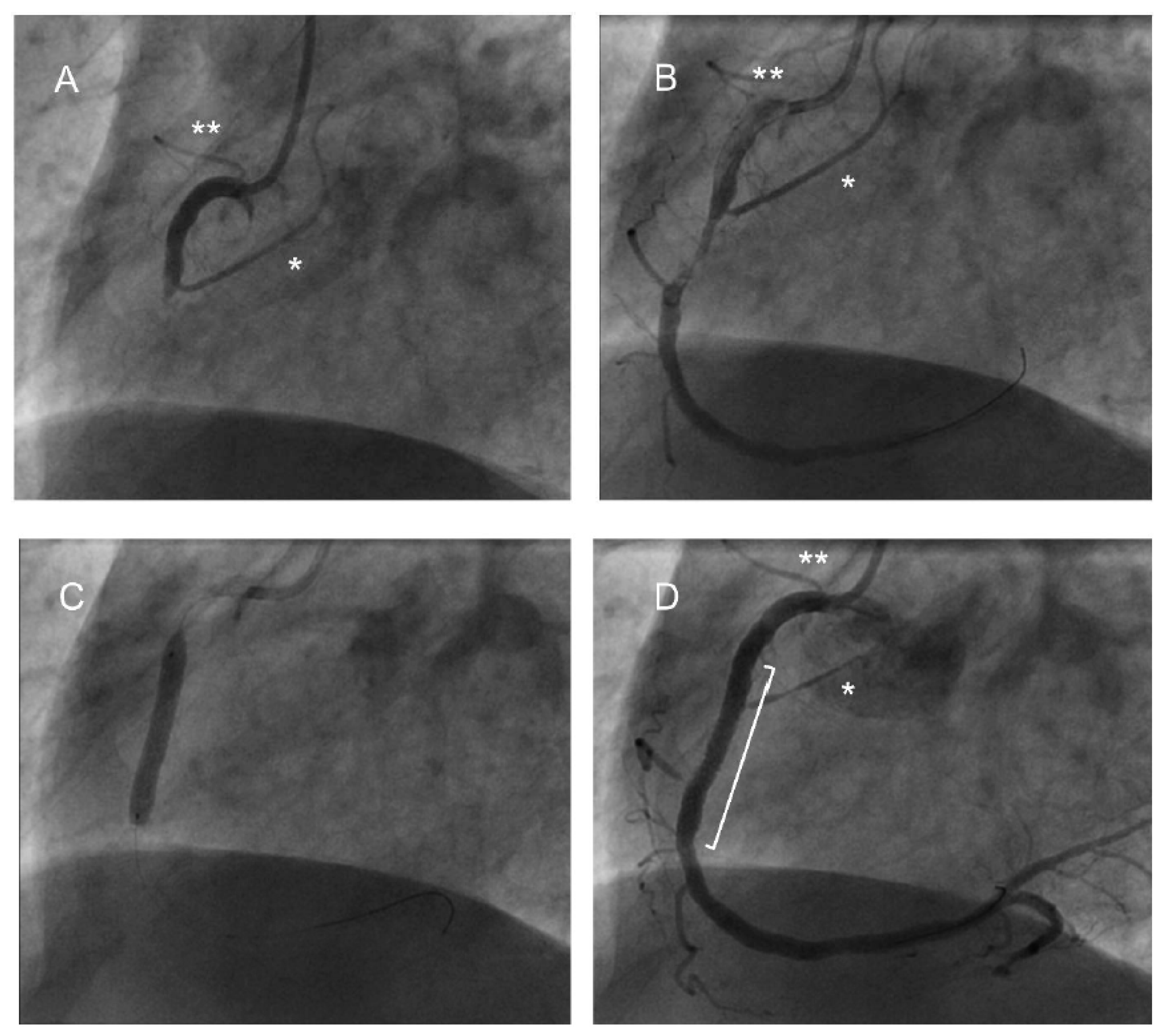 Jcdd 12 00210 g002 Jcdd 12 00210 g002