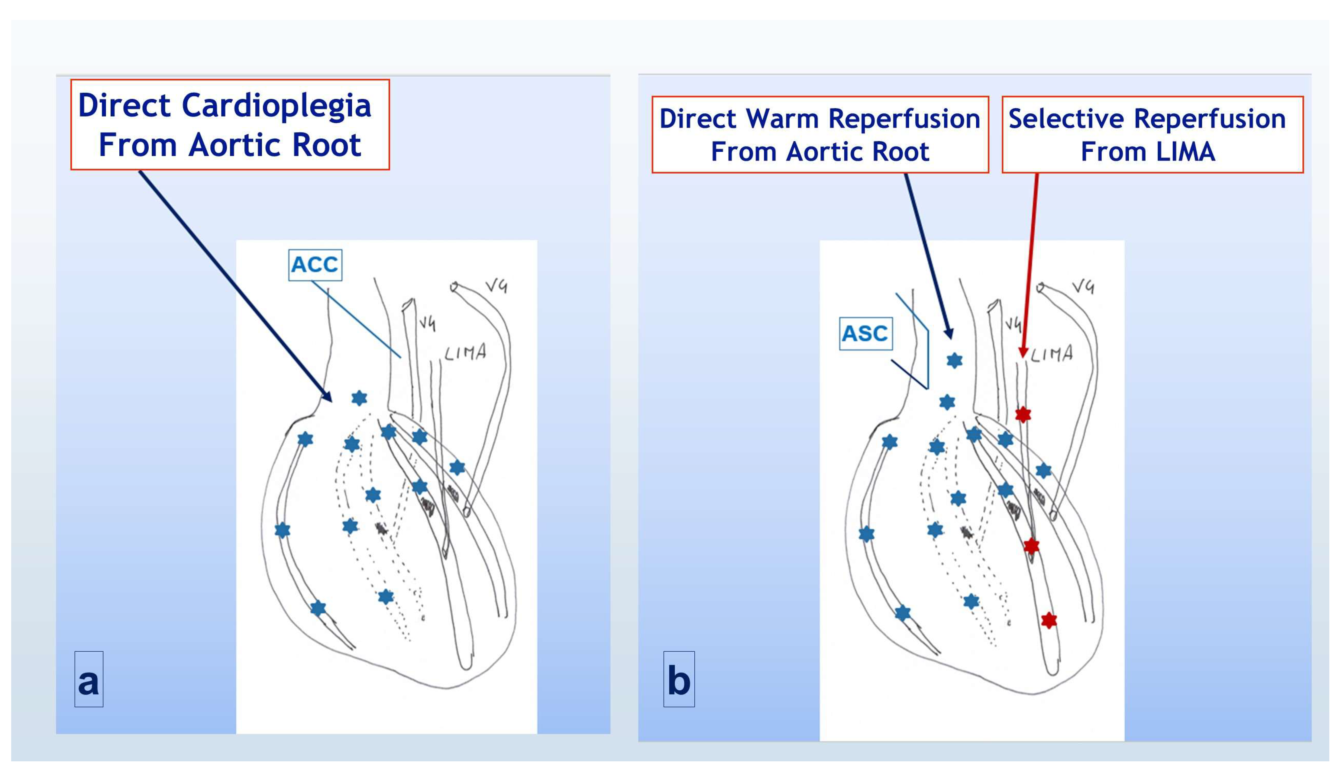 Jcdd 12 00222 g002 Jcdd 12 00222 g002