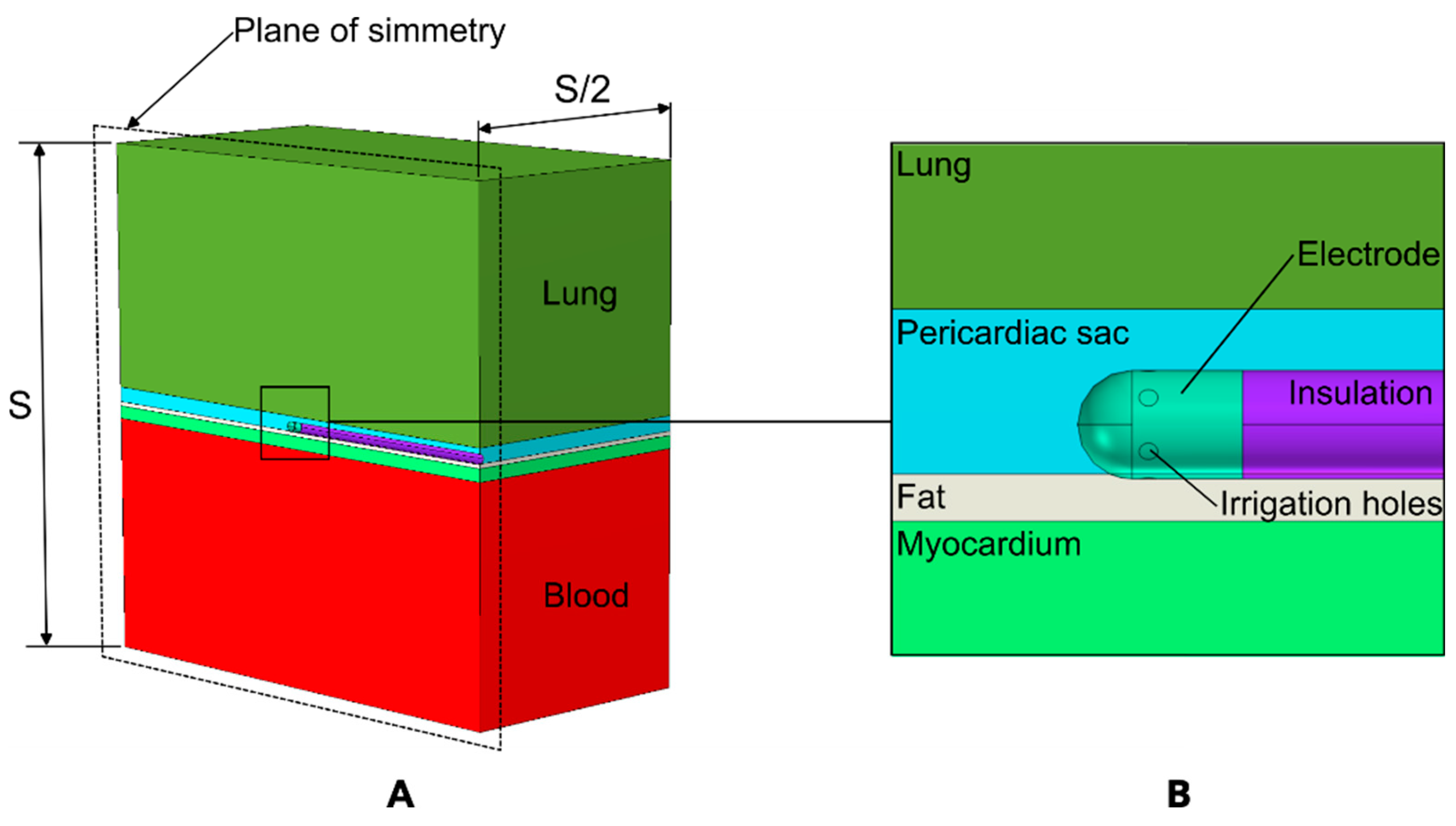 Jcdd 12 00283 g002 Jcdd 12 00283 g002
