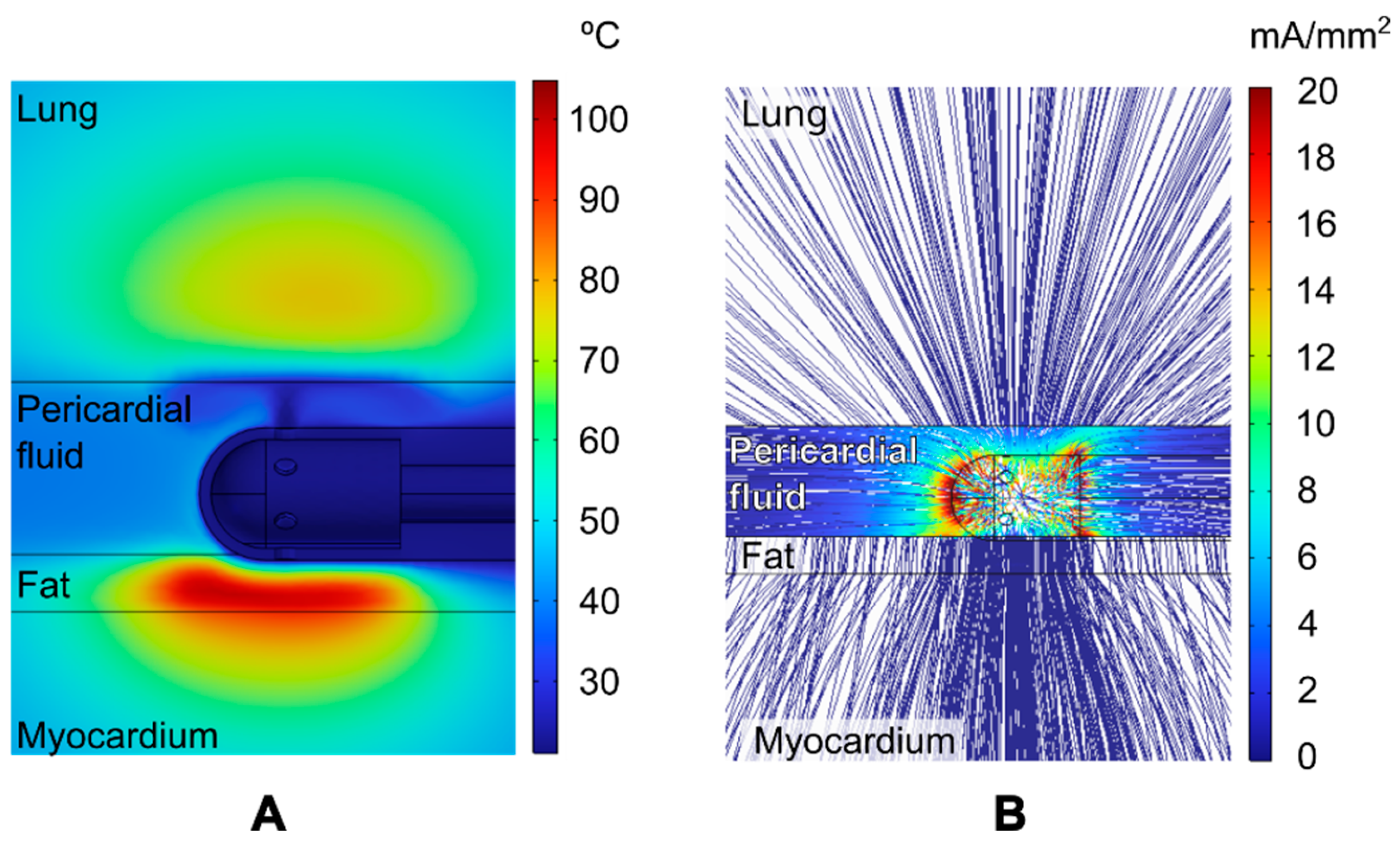 Jcdd 12 00283 g003 Jcdd 12 00283 g003