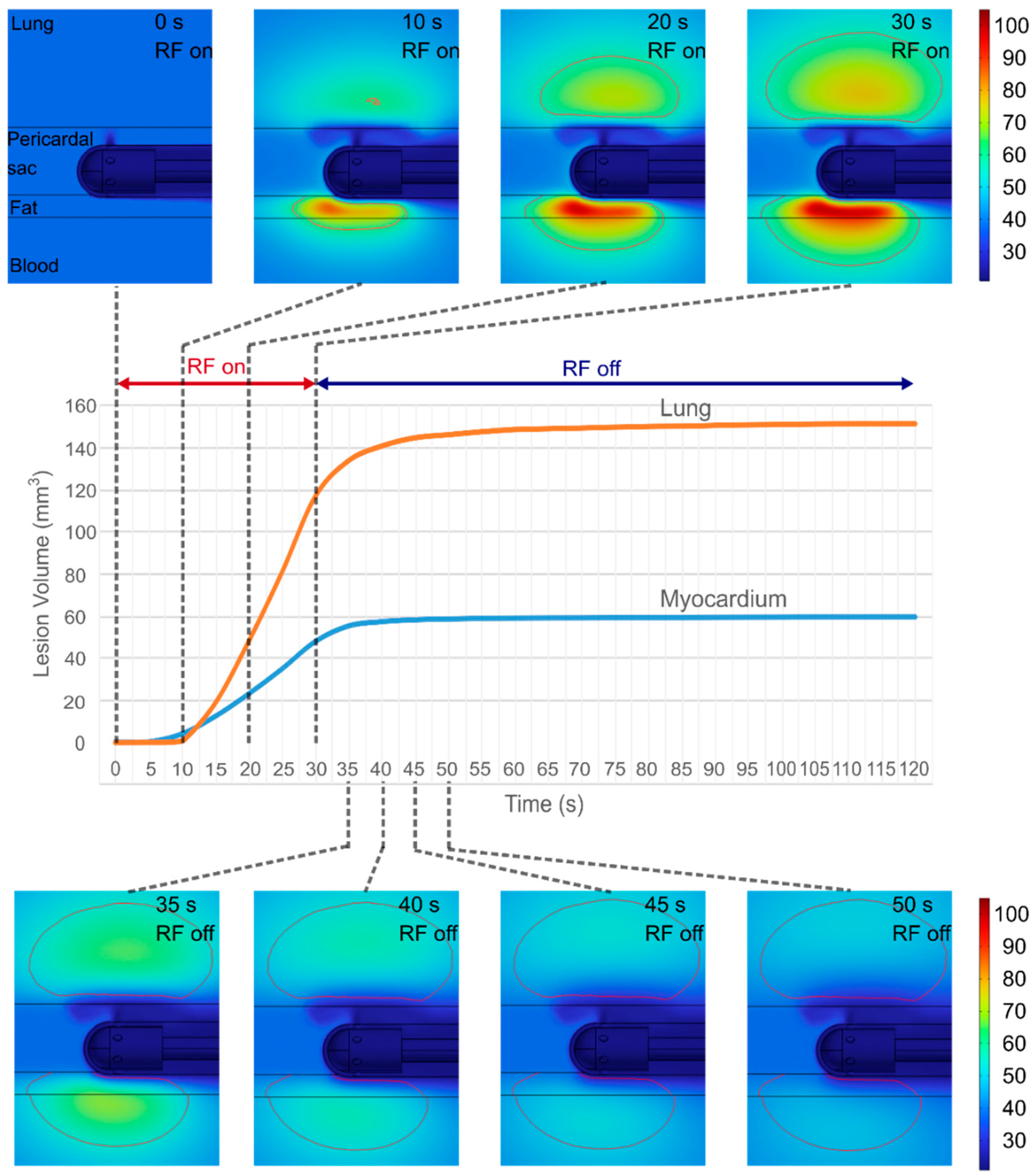 Jcdd 12 00283 g005 Jcdd 12 00283 g005
