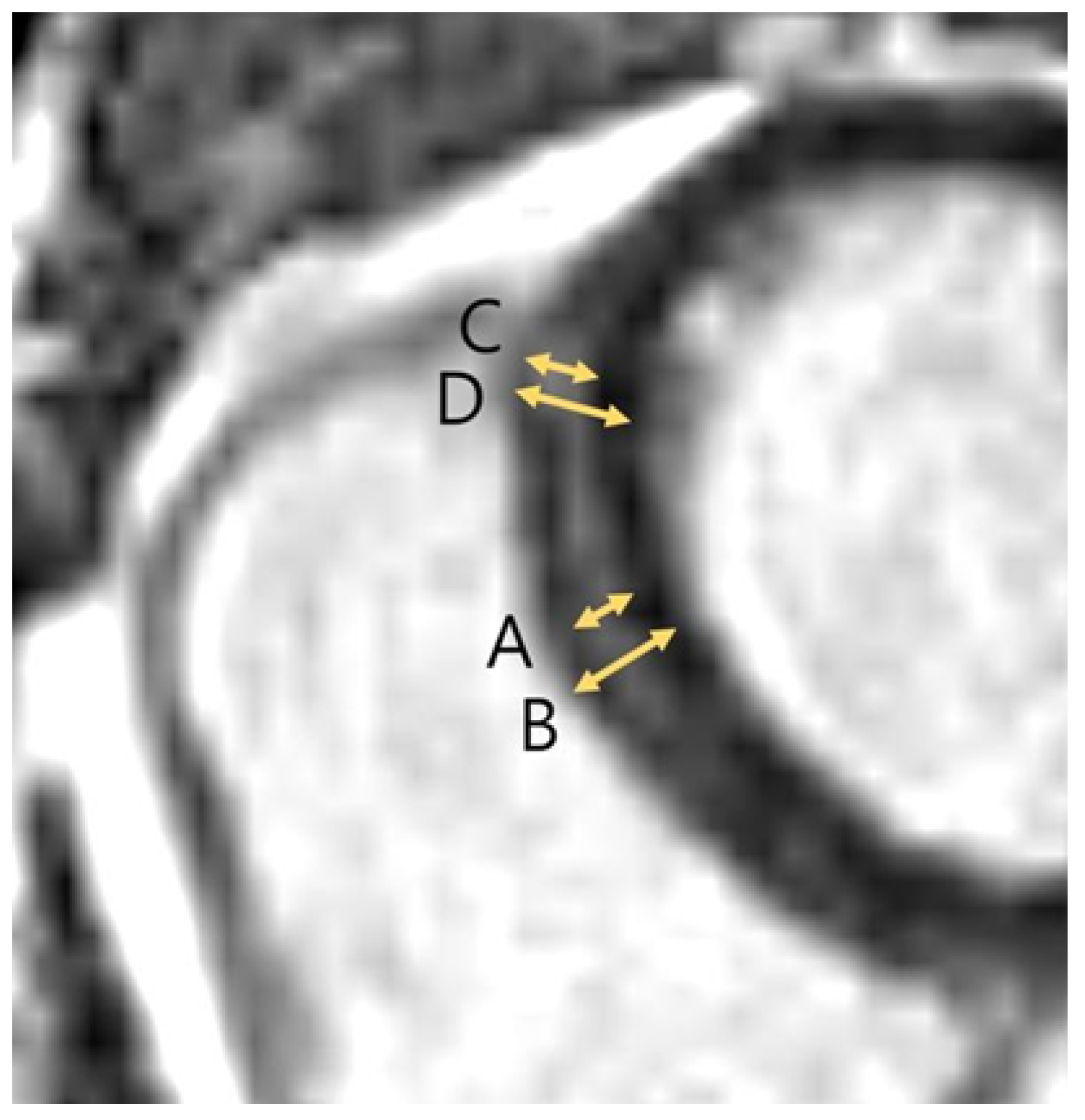 Jcdd 12 00312 g002 Jcdd 12 00312 g002