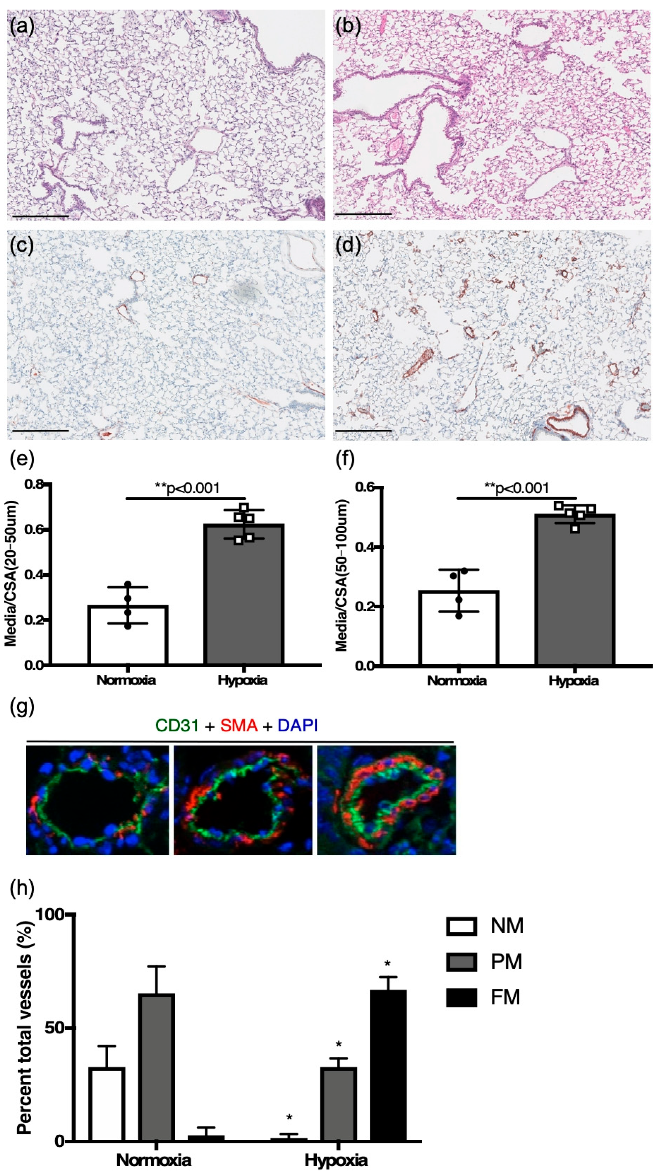 Jcdd 12 00316 g001 Jcdd 12 00316 g001